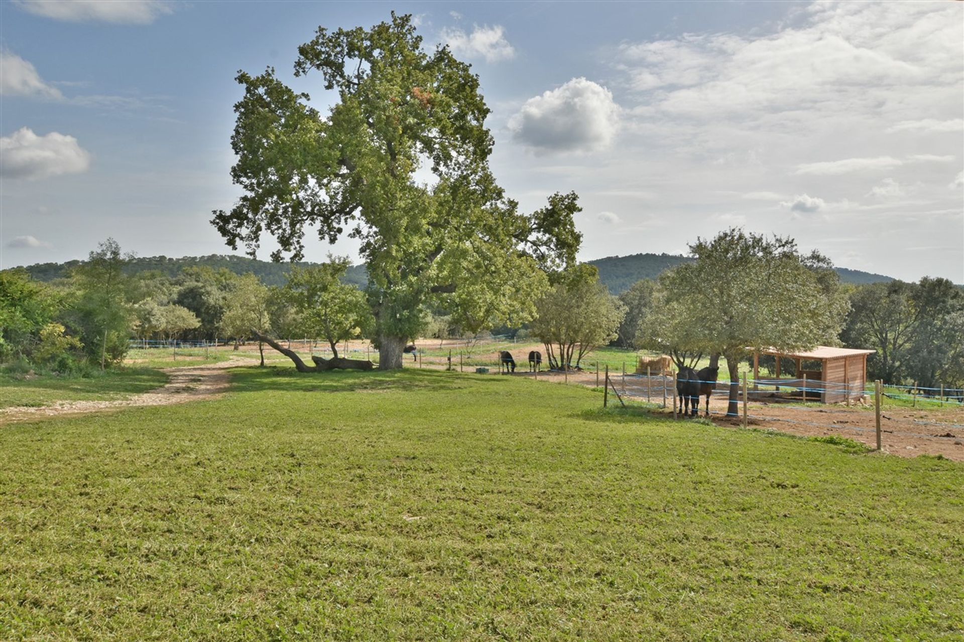 σπίτι σε Sommières, Occitanie 11180872