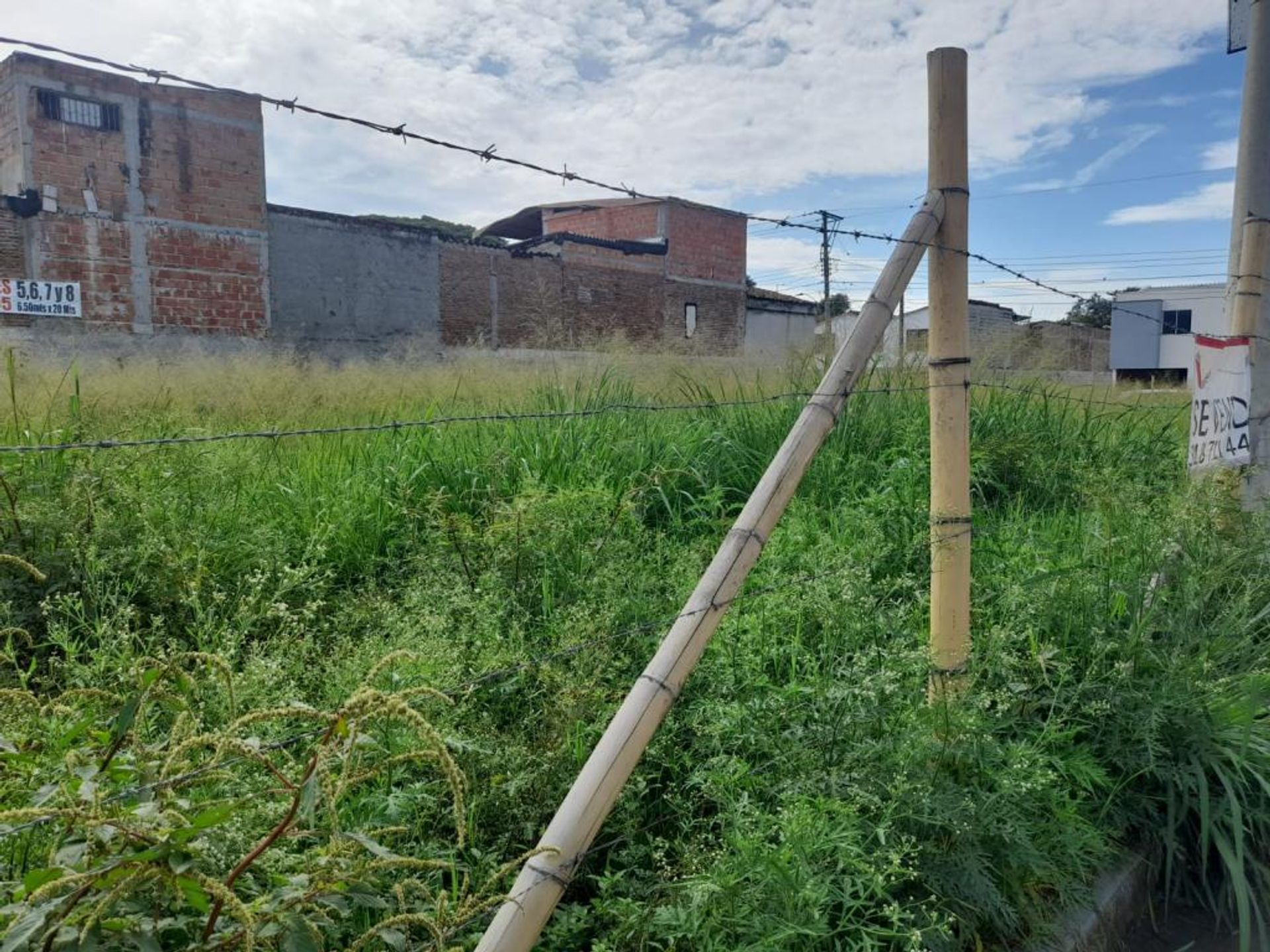 土地 在 帕爾米拉, 考卡山谷 11181510