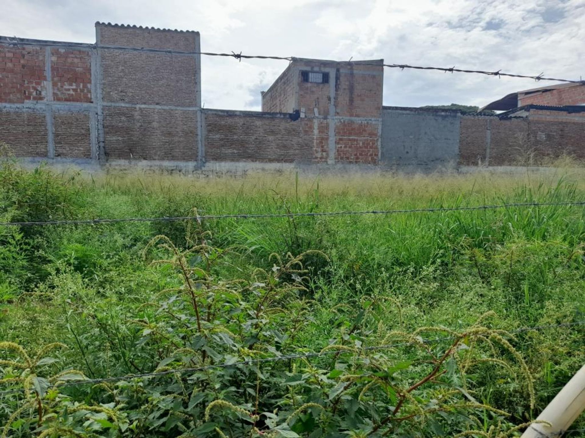 Land in palmira, Valle del Cauca 11181510