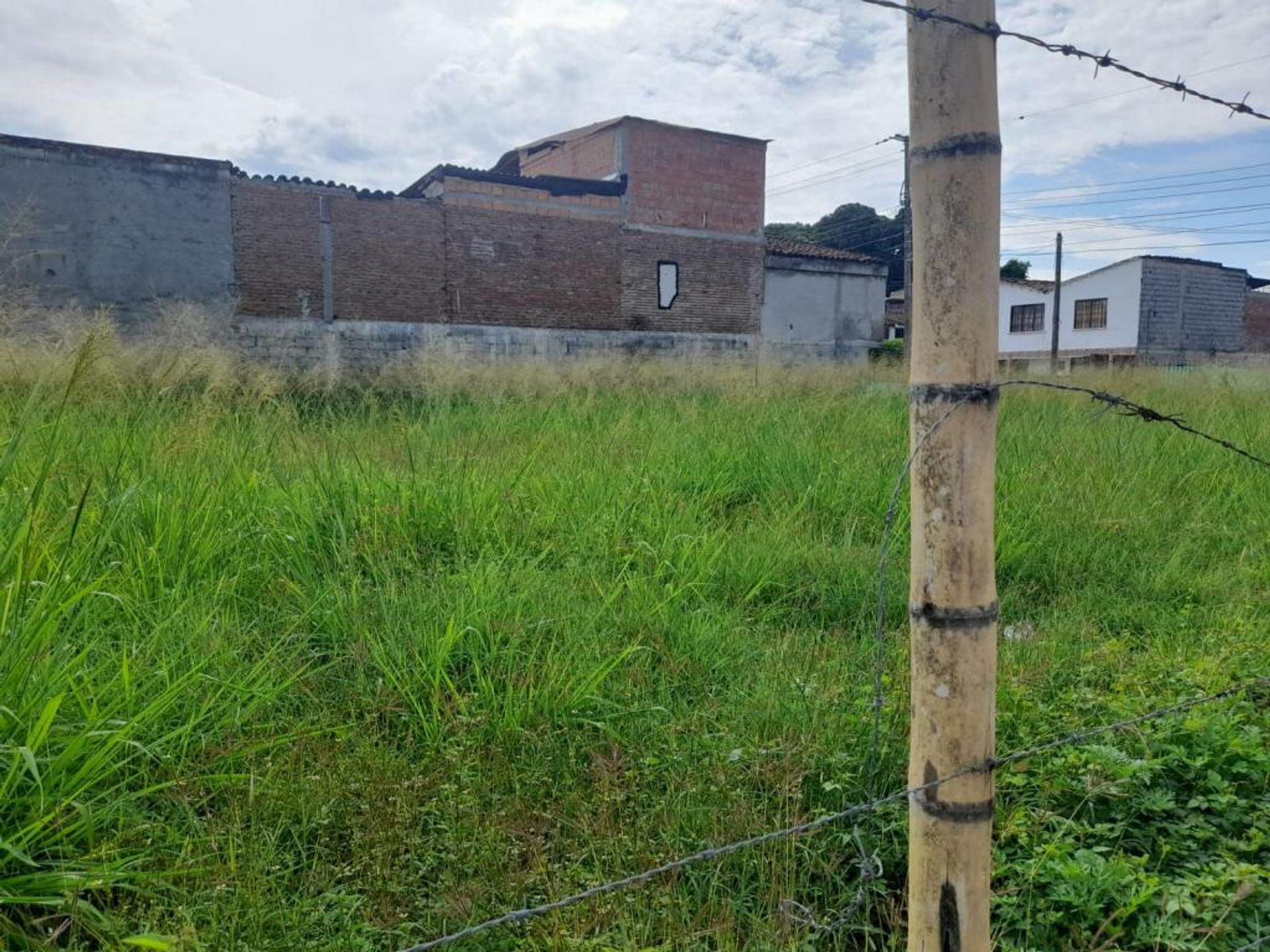 Terre dans Palmira, Vallée du Cauca 11181510