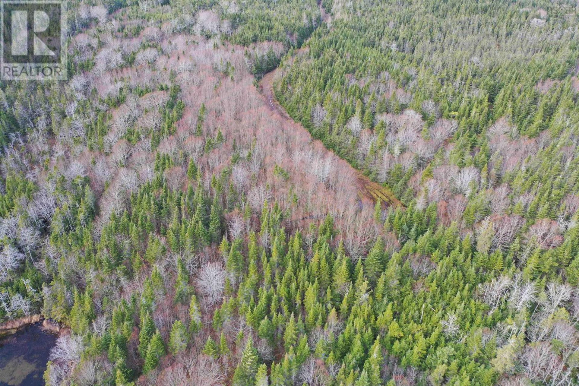 Land in Saint Peter's, Nova Scotia 11181673