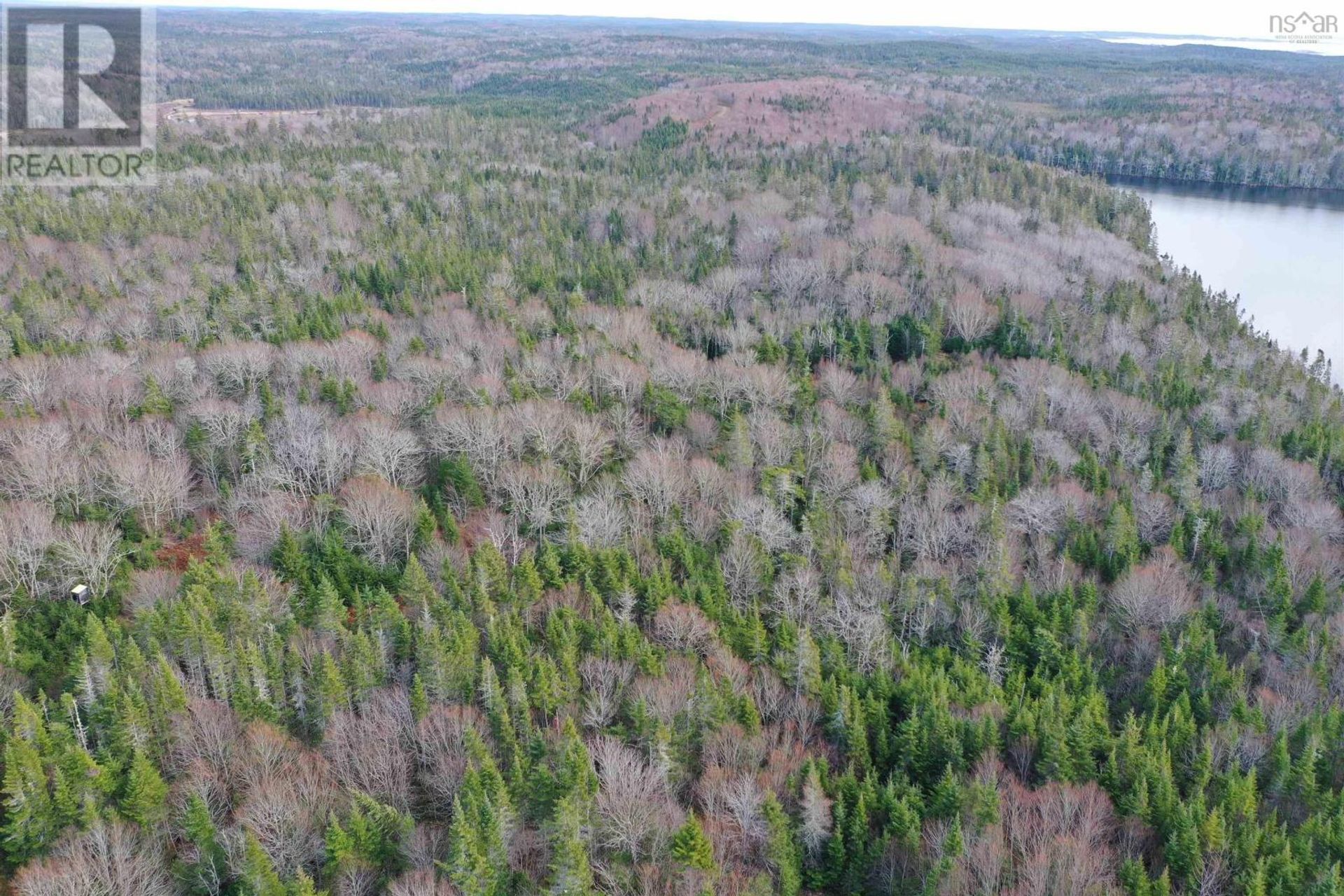 Land in Saint Peter's, Nova Scotia 11181673