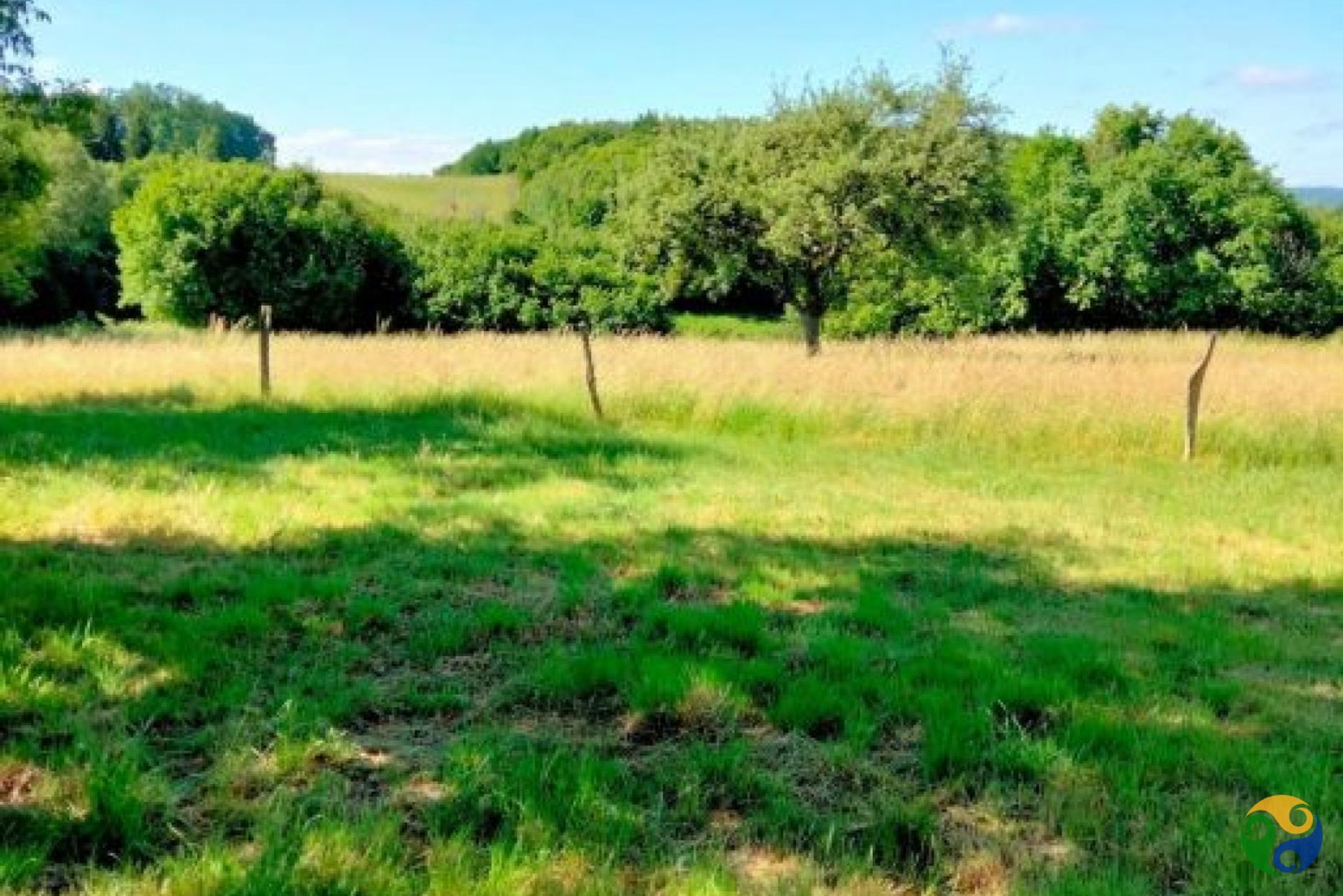 Autre dans Saint-Cirgues-la-Loutre, Nouvelle-Aquitaine 11181712