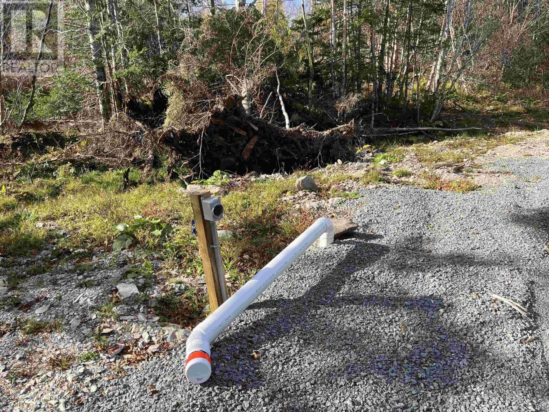 Land in Loch Lomond, Nova Scotia 11181769