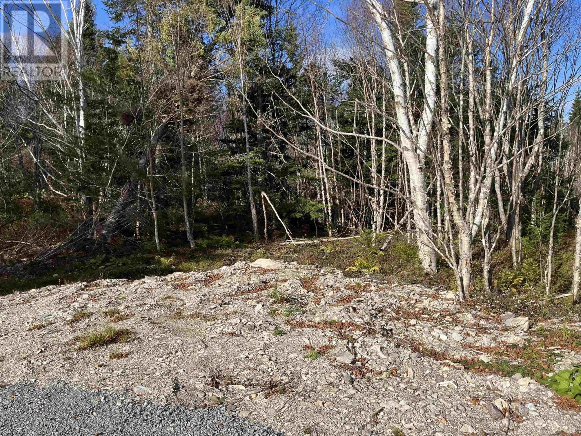 Land in Loch Lomond, Nova Scotia 11181769