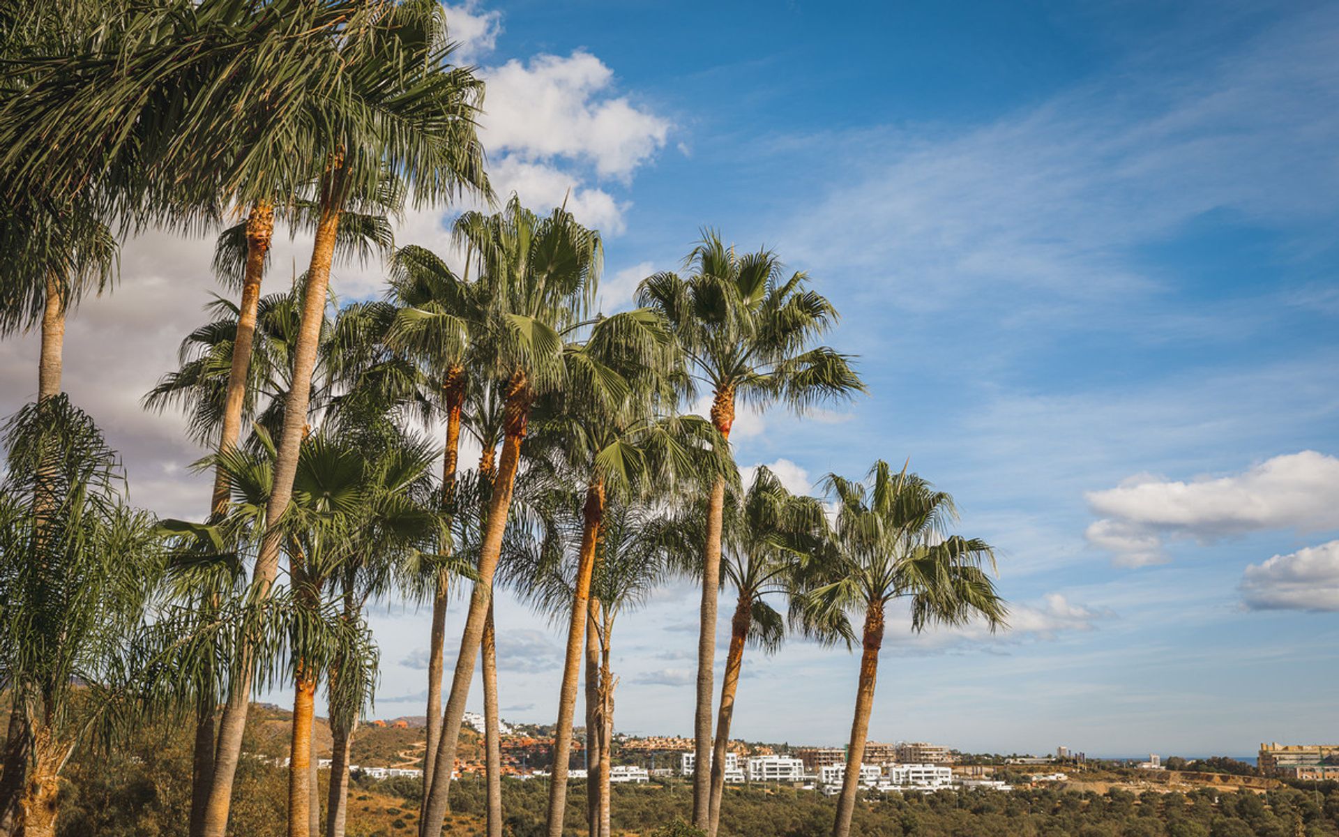 Haus im Marbella, Andalucía 11181775