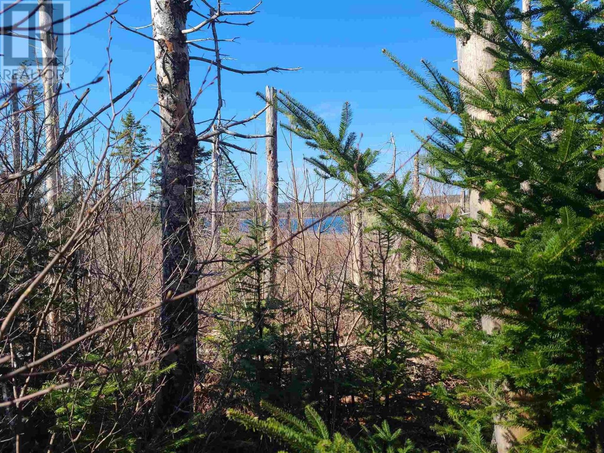 Συγκυριαρχία σε Soldiers Cove, Nova Scotia 11181782