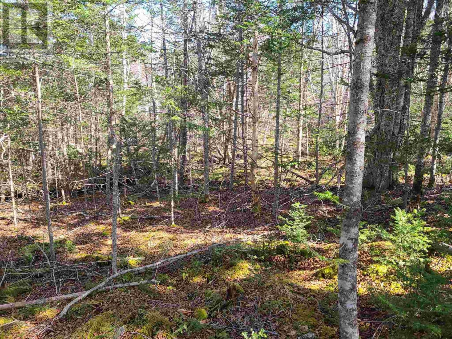 Συγκυριαρχία σε Soldiers Cove, Nova Scotia 11181782