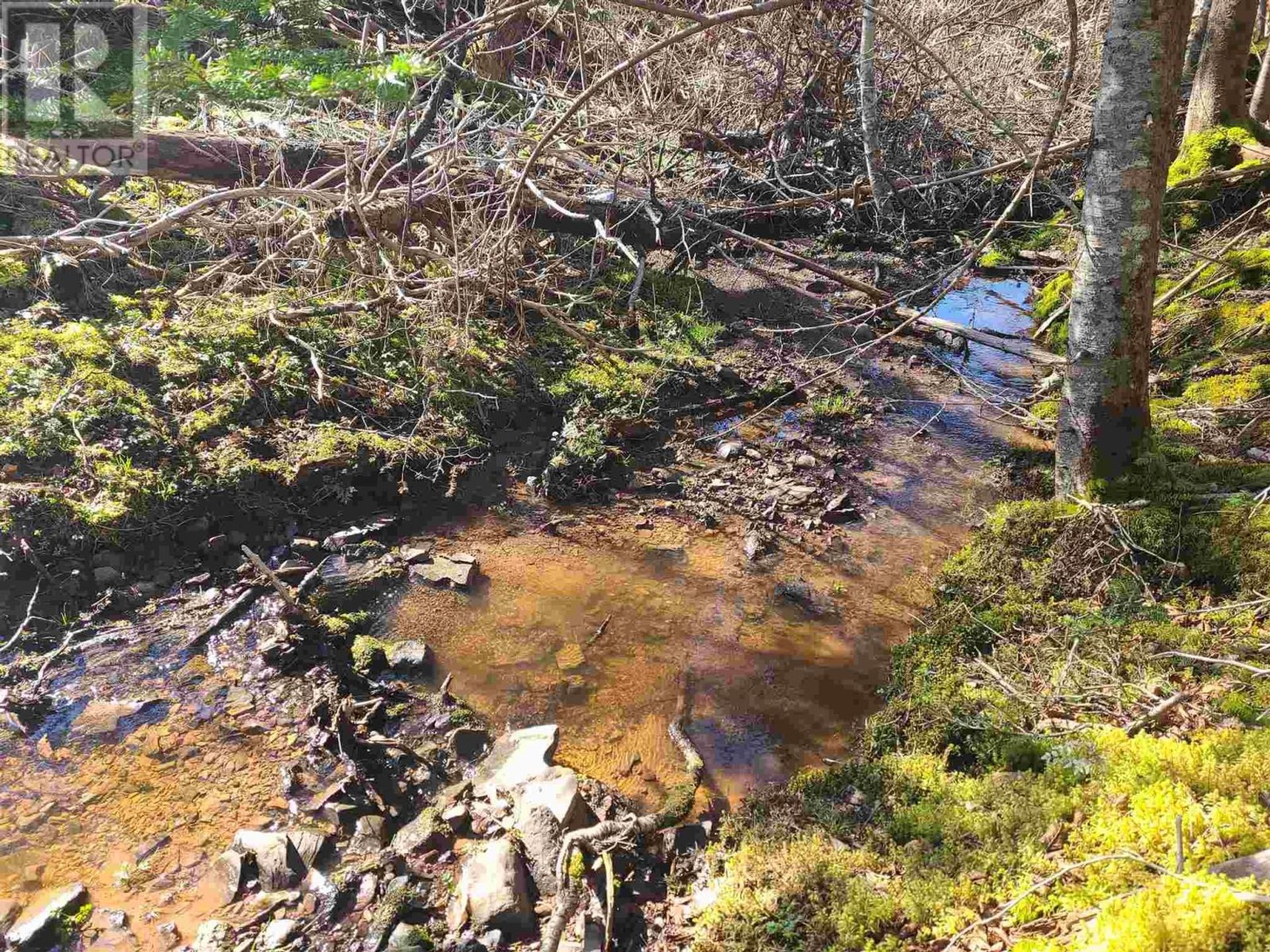 Συγκυριαρχία σε Soldiers Cove, Nova Scotia 11181782