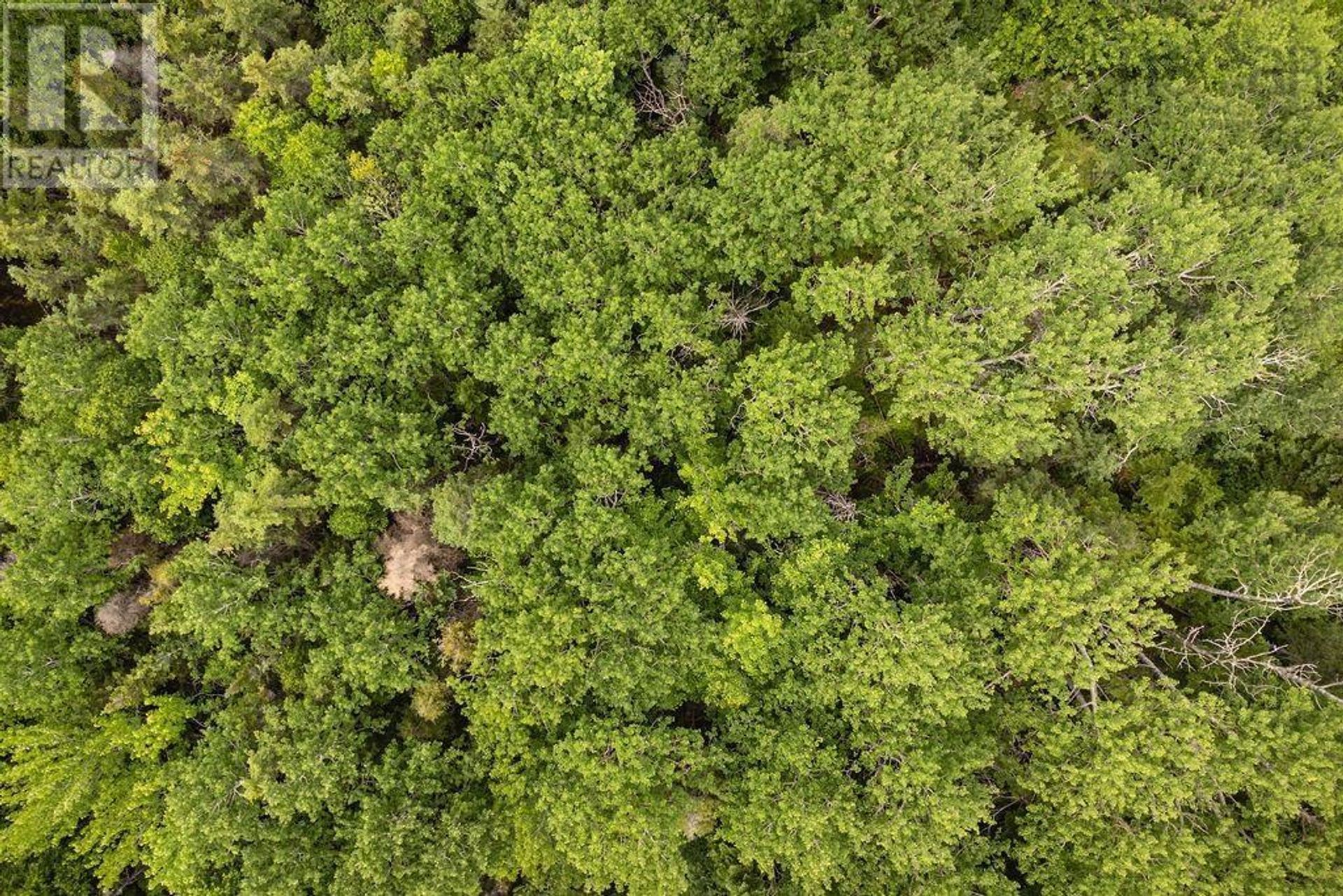 Maa sisään Mabou, Nova Scotia 11181787