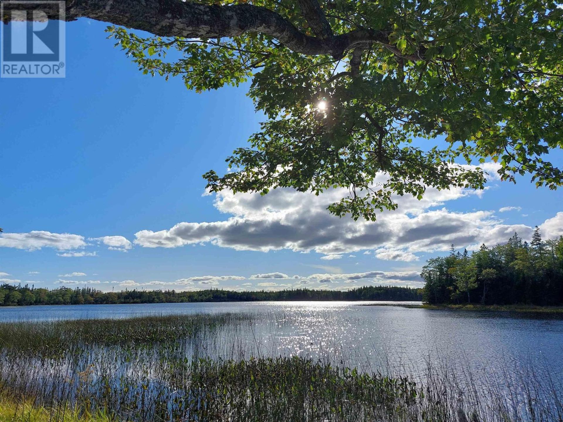 Condominio en Cleveland, Nova Scotia 11181799