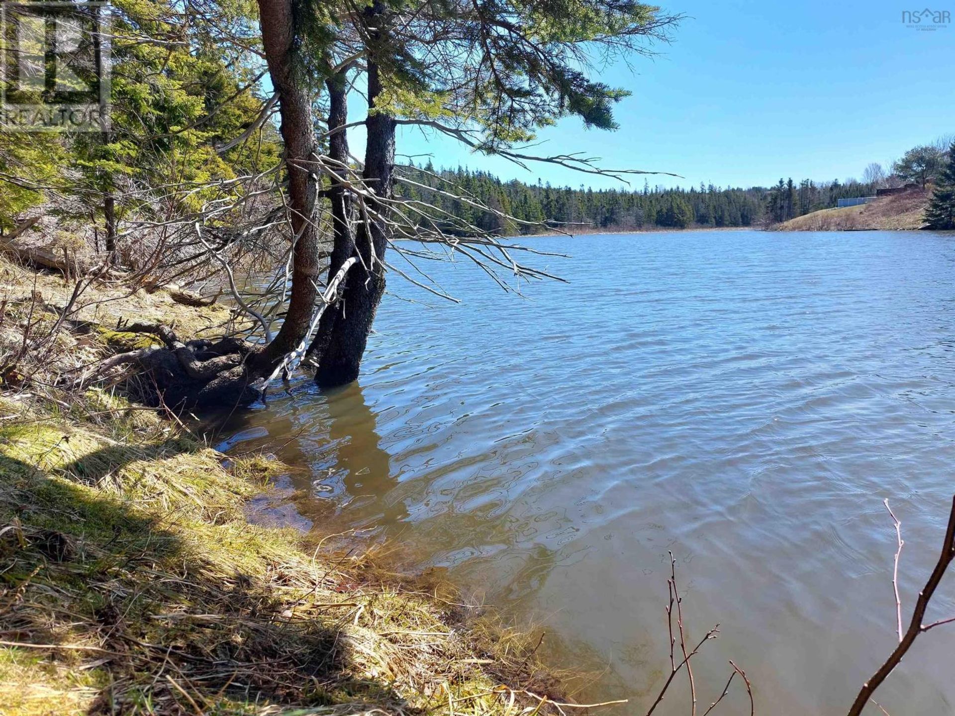 Terra no Port Hawkesbury, Nova Scotia 11181817