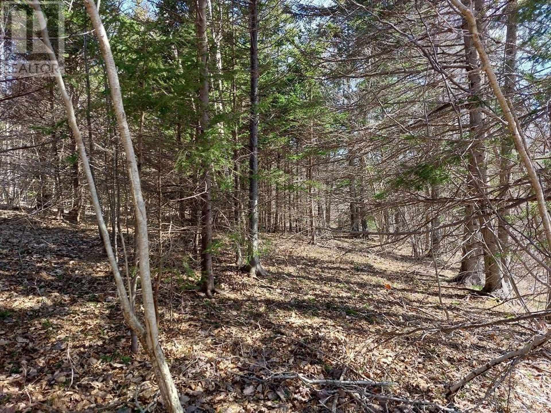 Tanah di Pelabuhan Hawkesbury, Nova Scotia 11181817