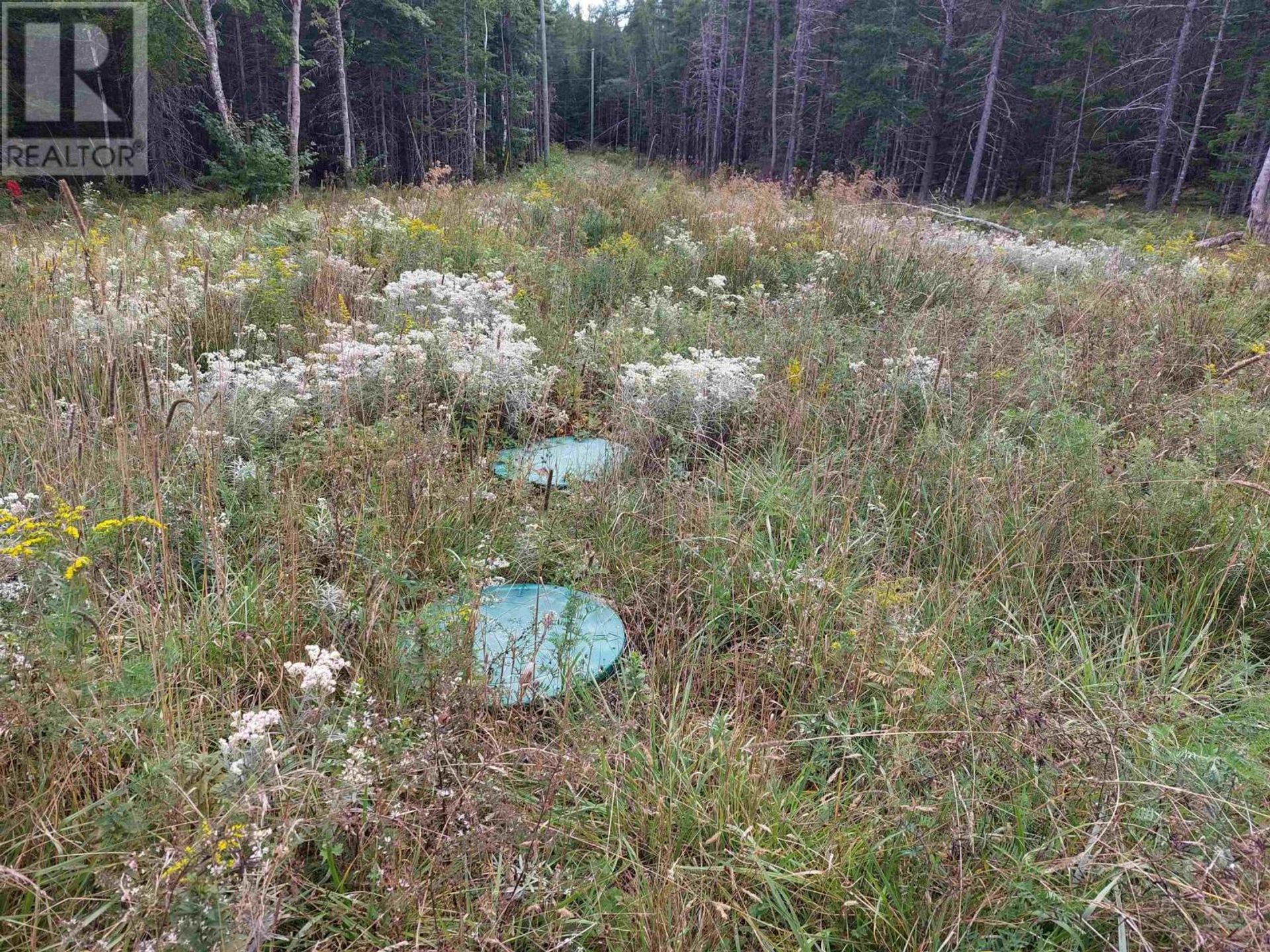 Land im Valley Mills, Nova Scotia 11181818