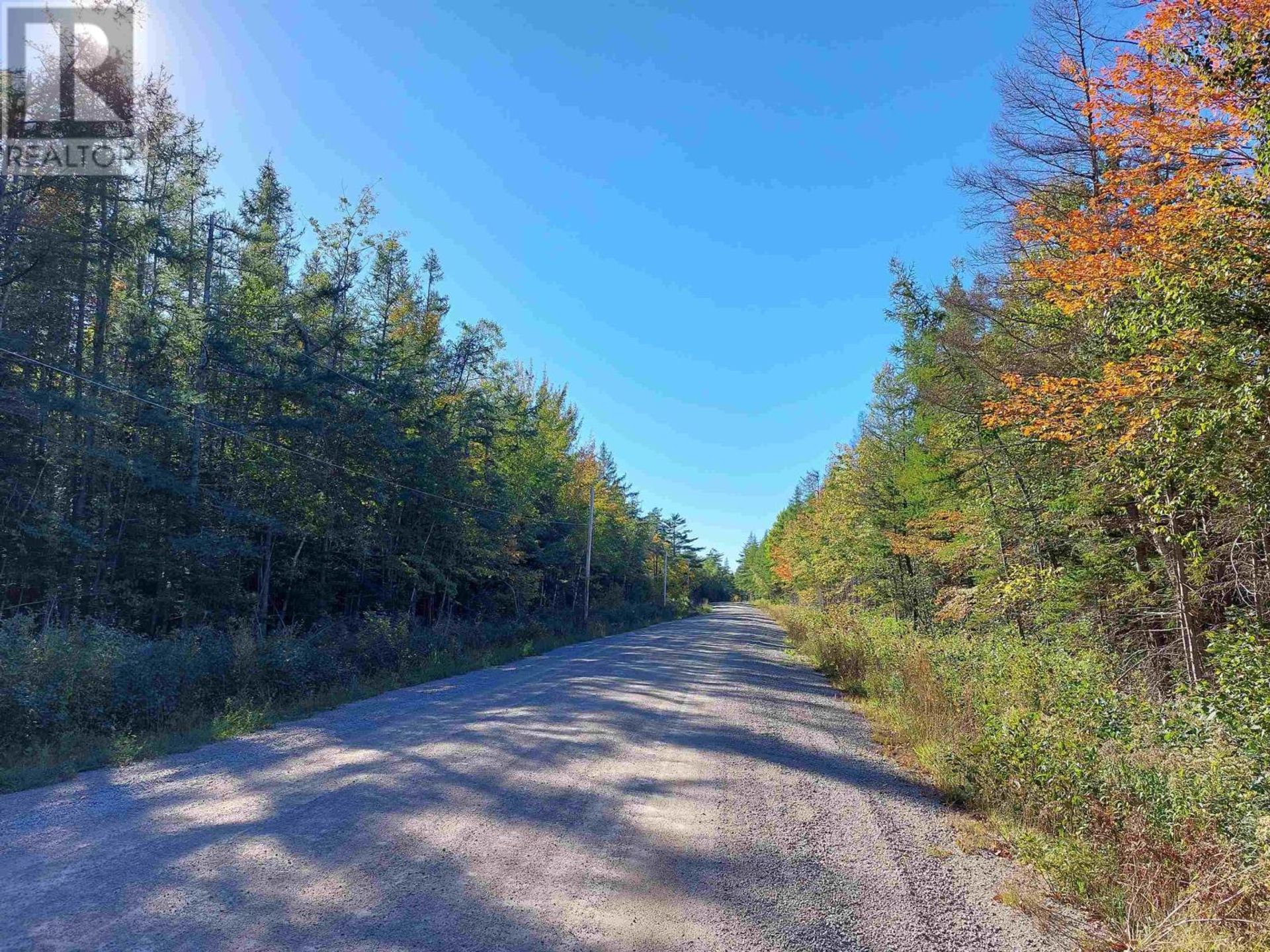 Land im Valley Mills, Nova Scotia 11181818