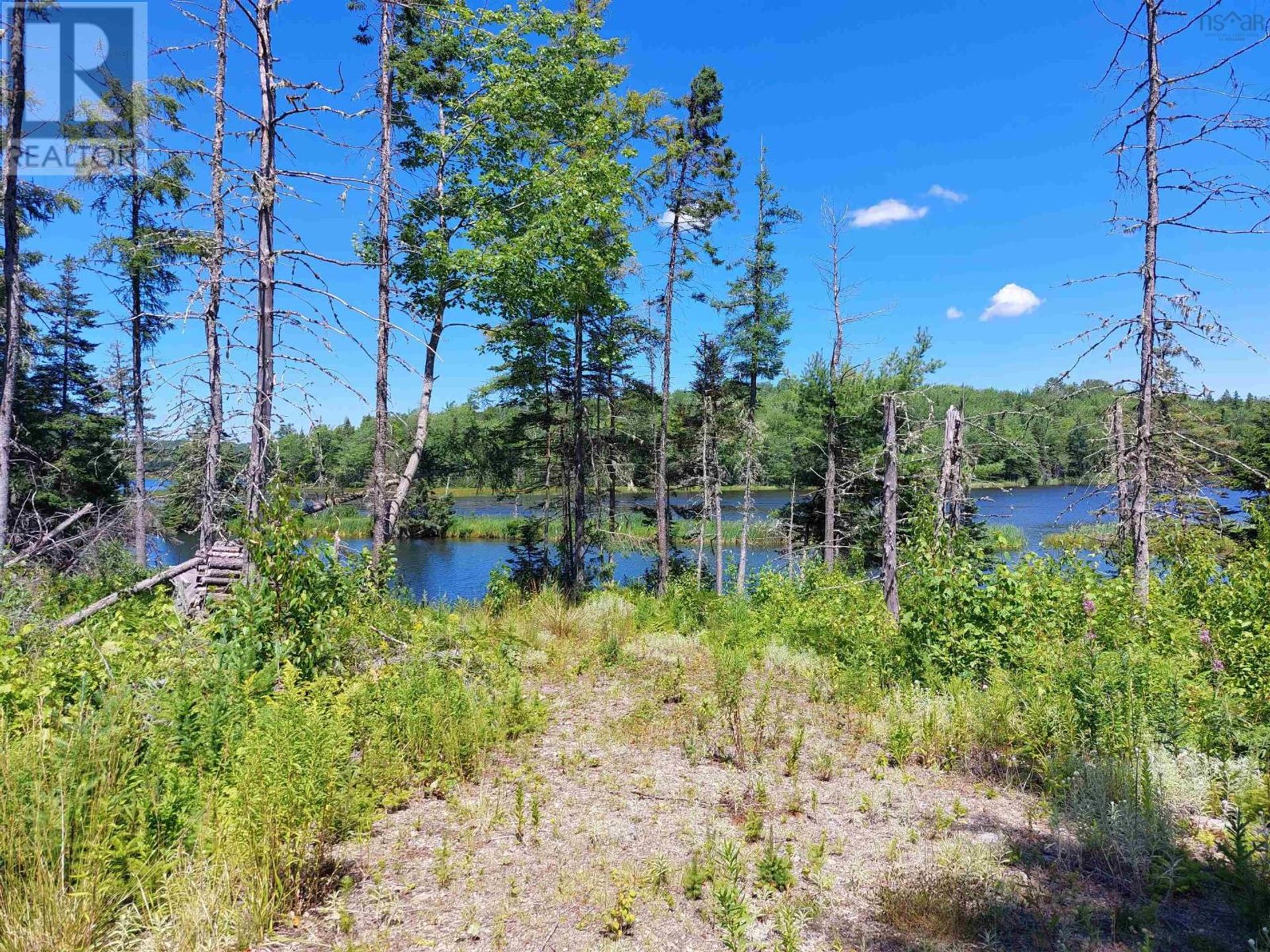 Land im Valley Mills, Nova Scotia 11181818