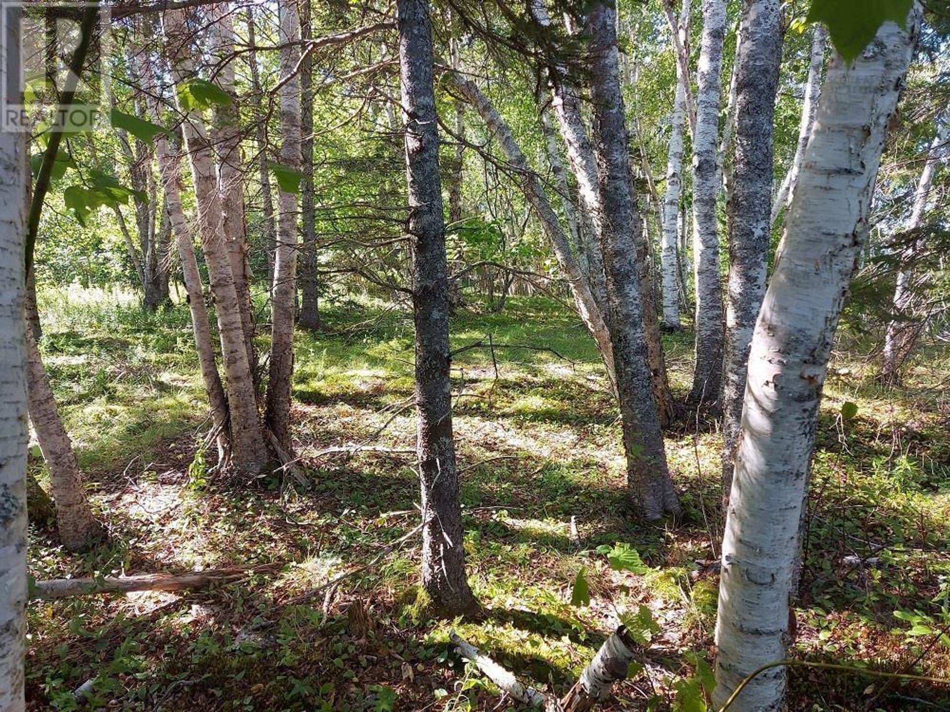 Land in Big Pond, Nova Scotia 11181821