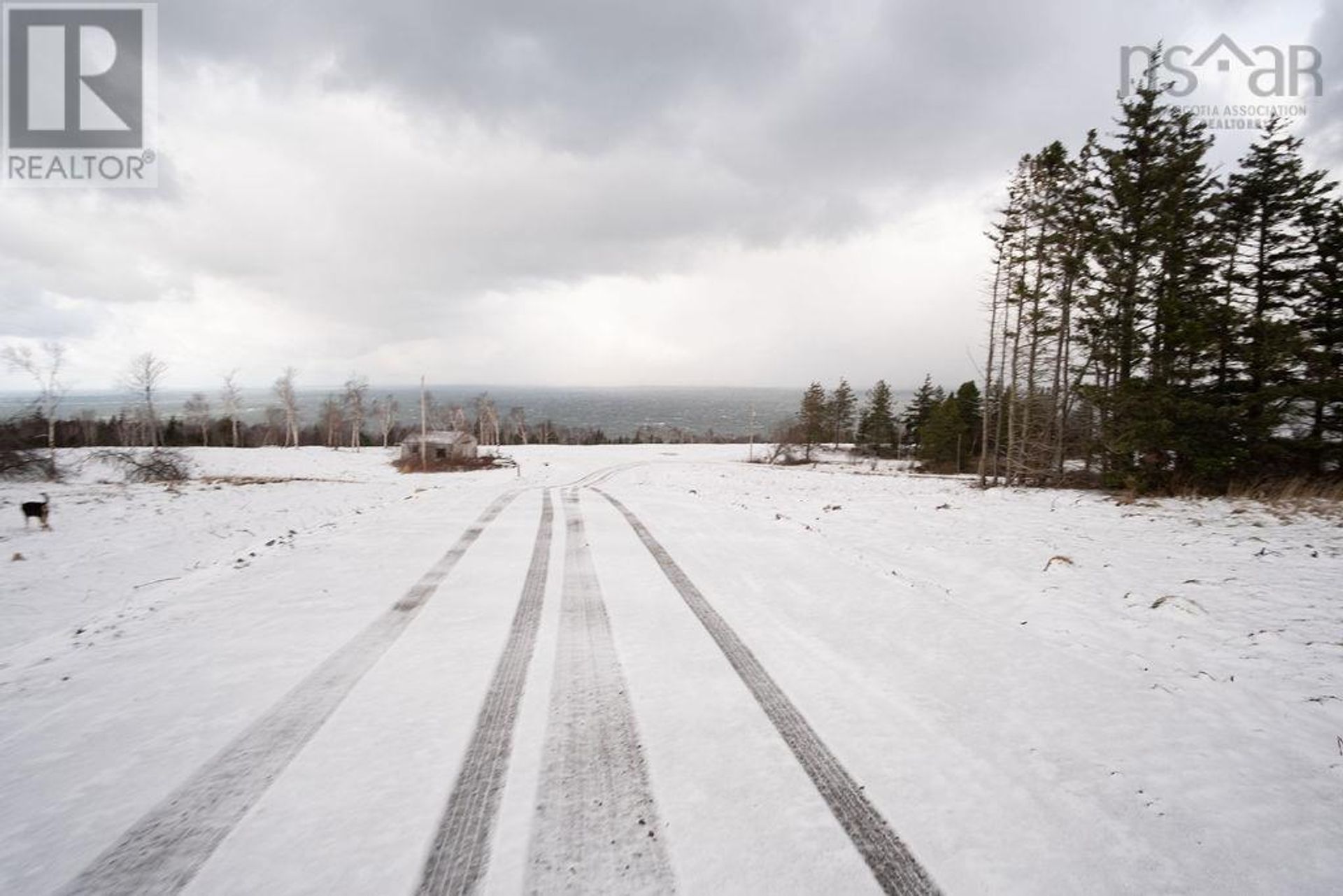 Земельные участки в Inverness, Nova Scotia 11181836