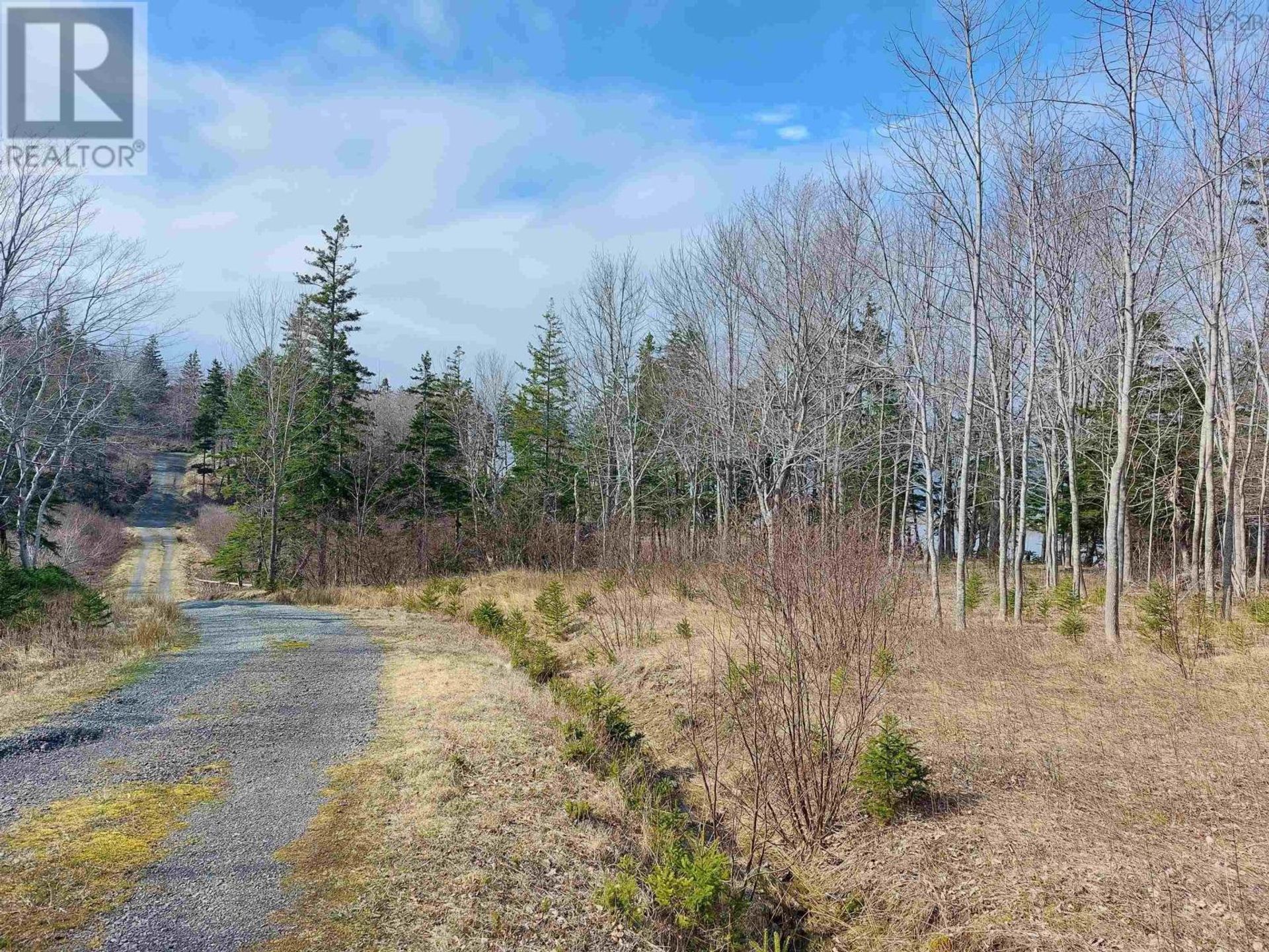 Tierra en Roberta, Nova Scotia 11181875