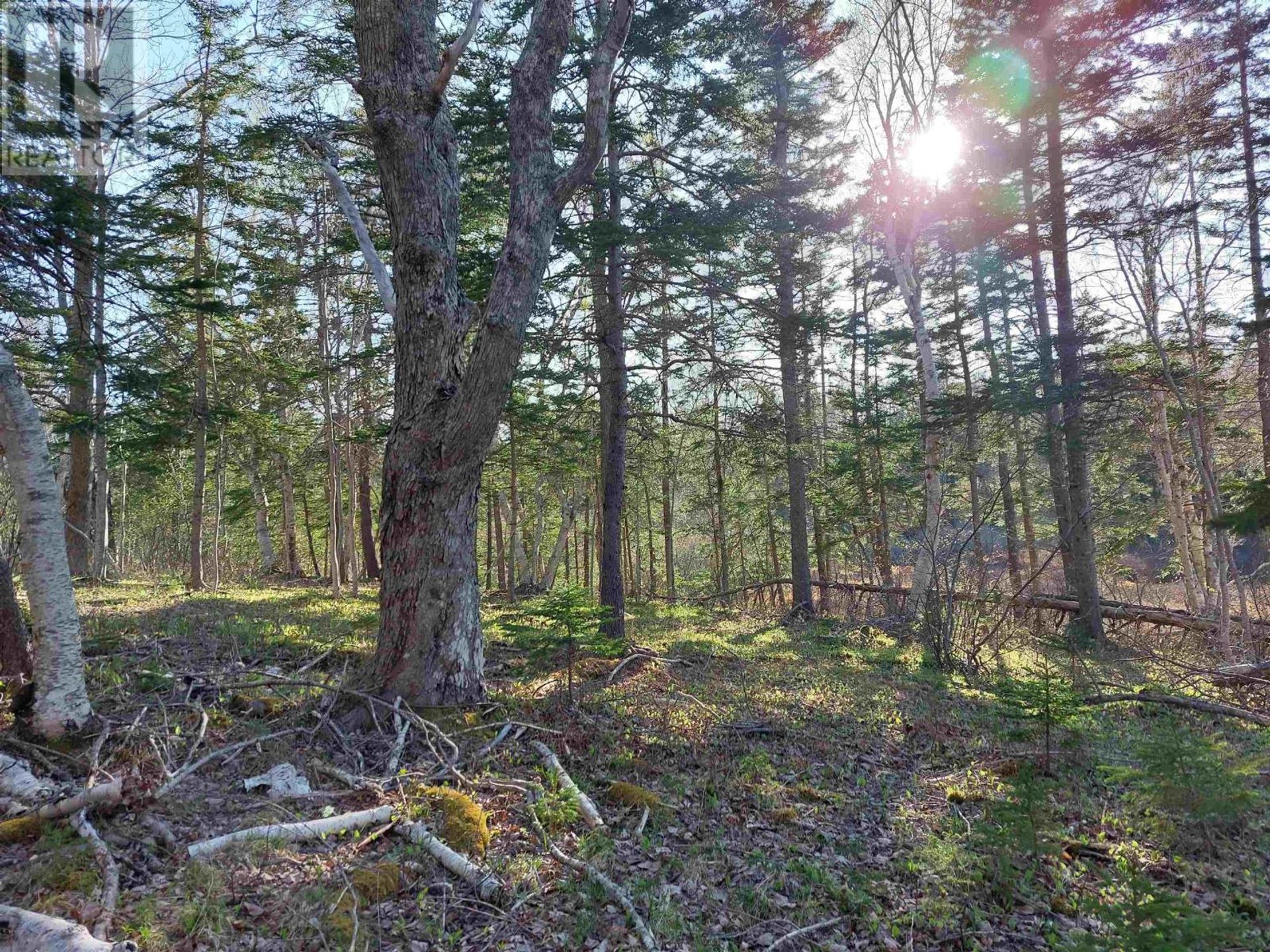 Tierra en Roberta, Nova Scotia 11181875