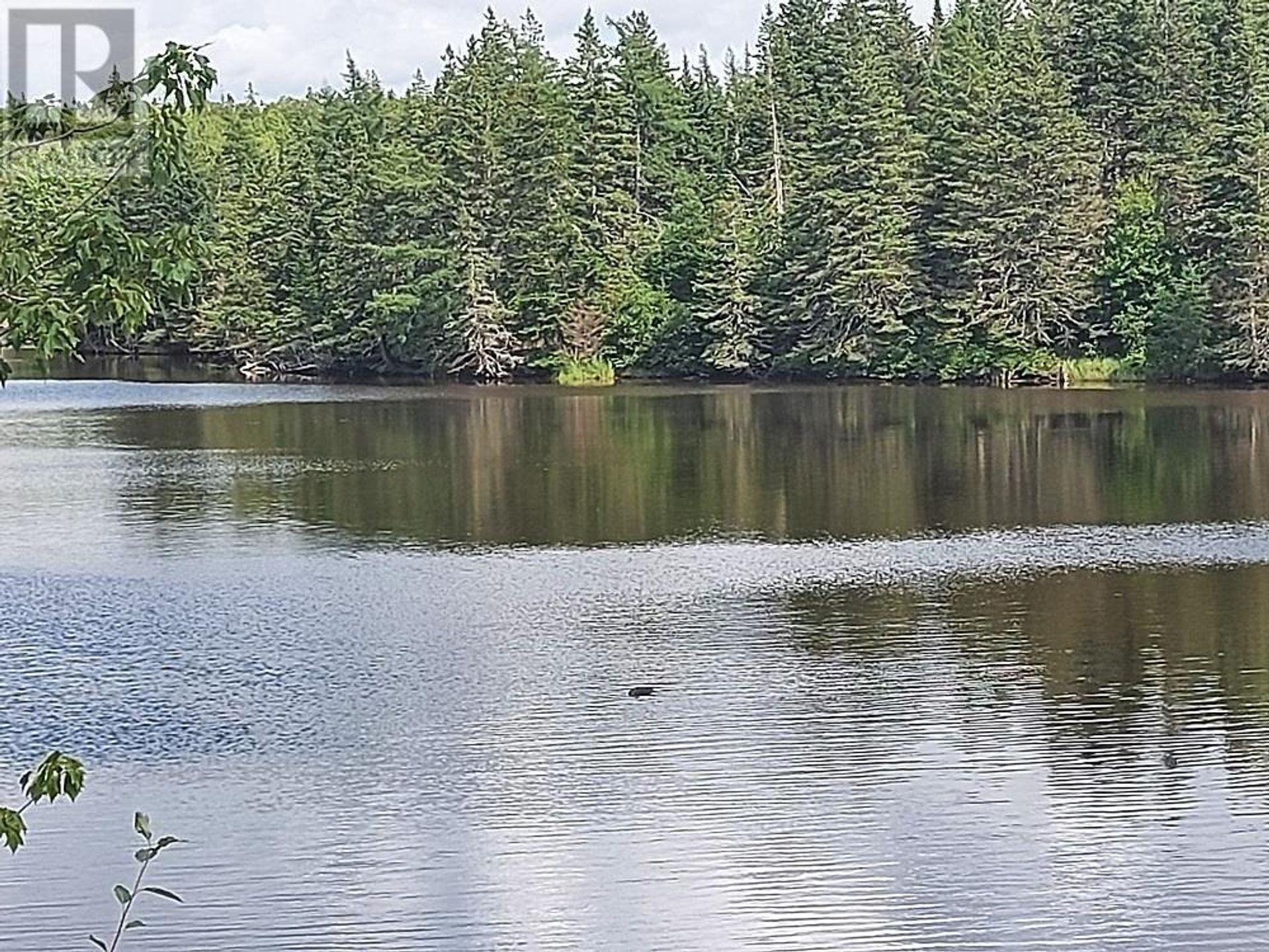 Land i Baddeck, Nova Scotia 11181880