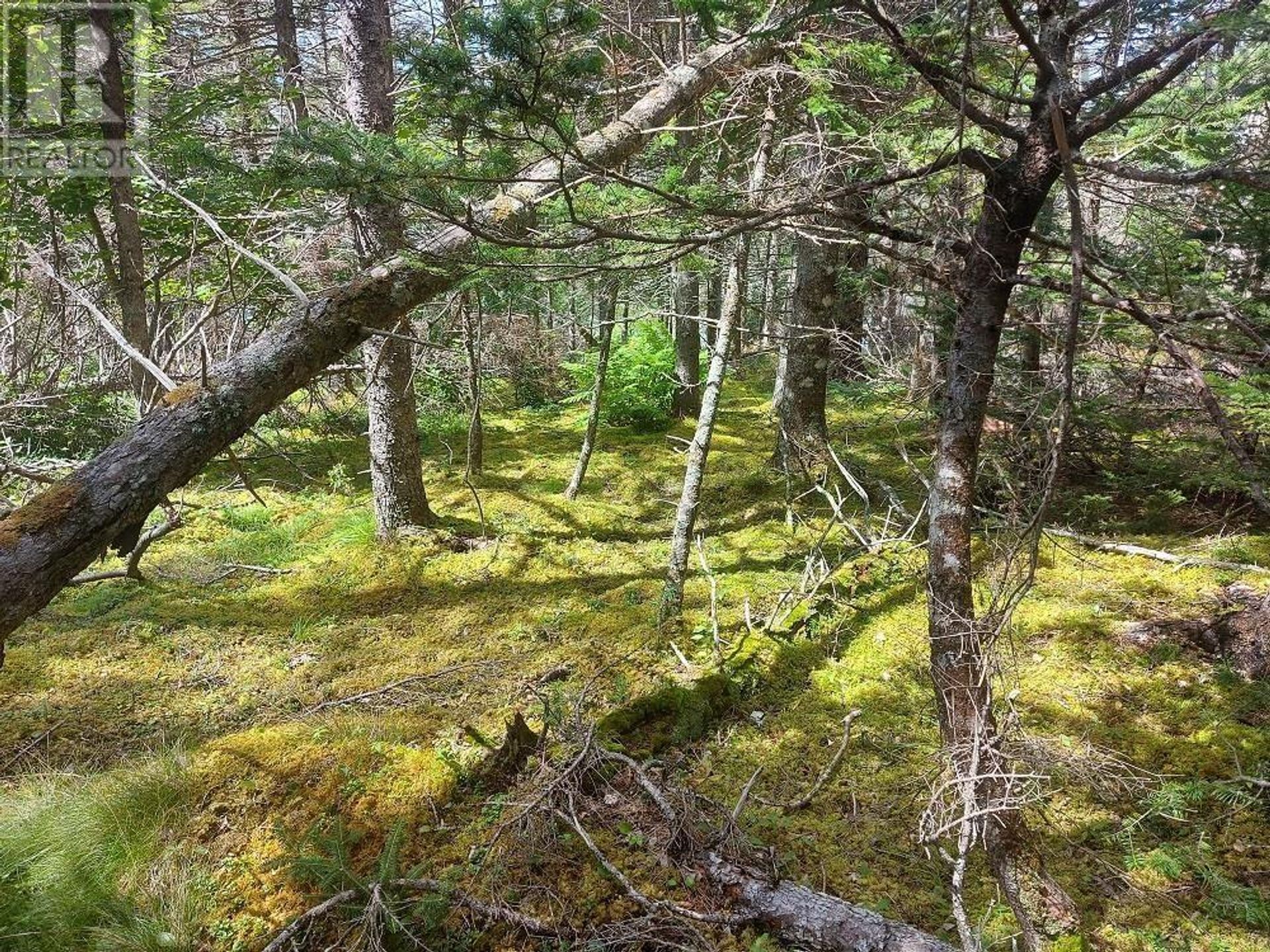 Land i Cape George, Nova Scotia 11181880