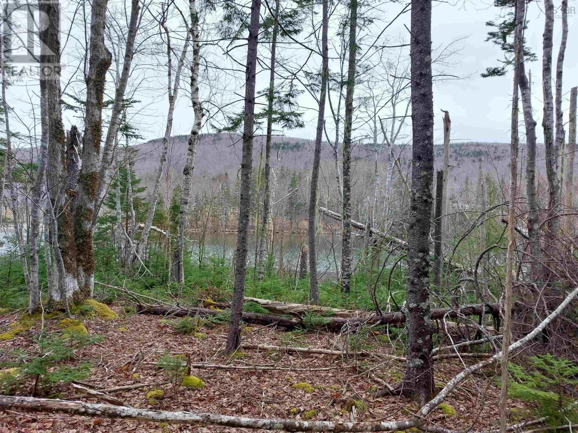 Земля в Marble Mountain, Nova Scotia 11181883