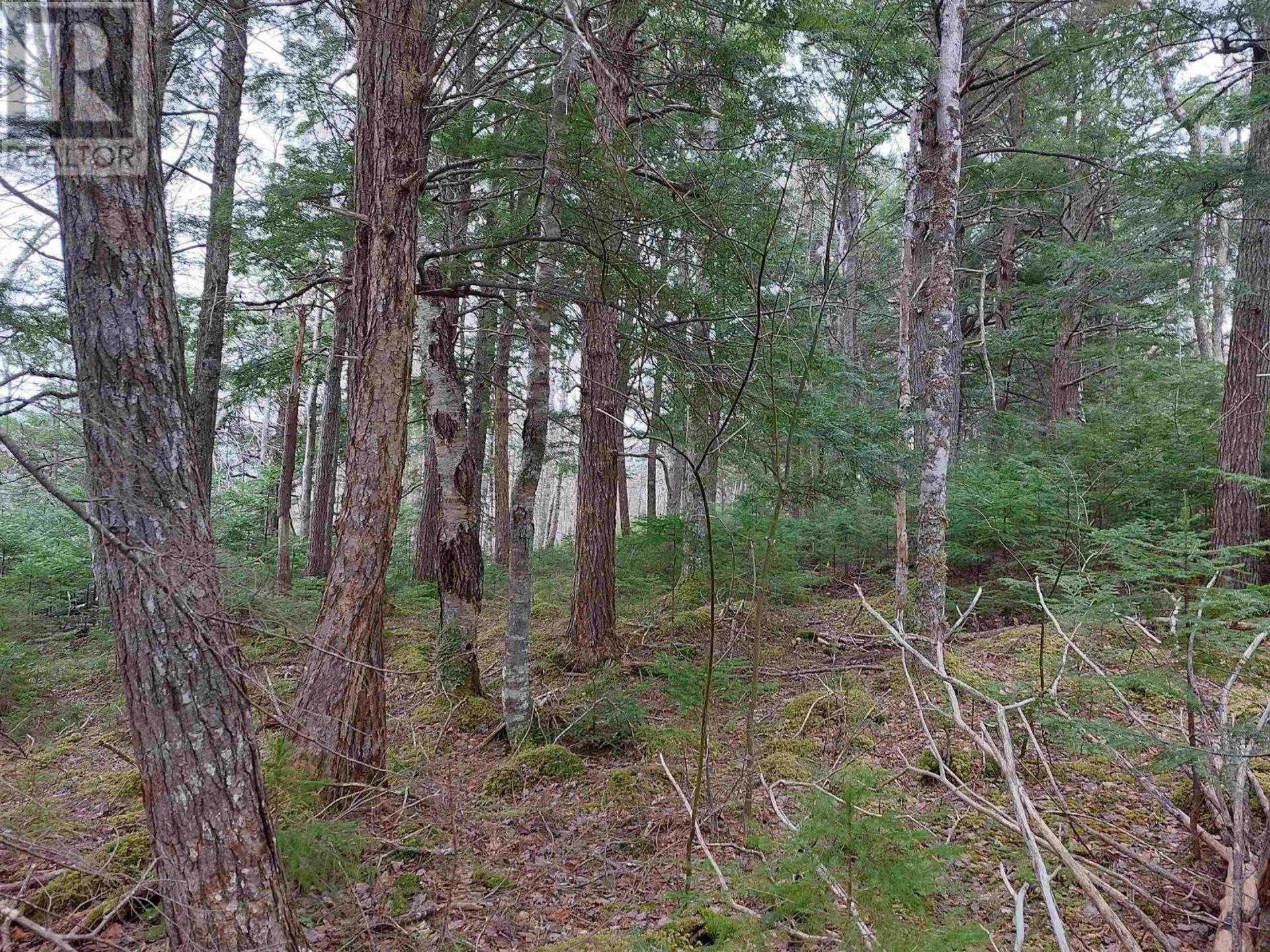 Земля в Marble Mountain, Nova Scotia 11181883