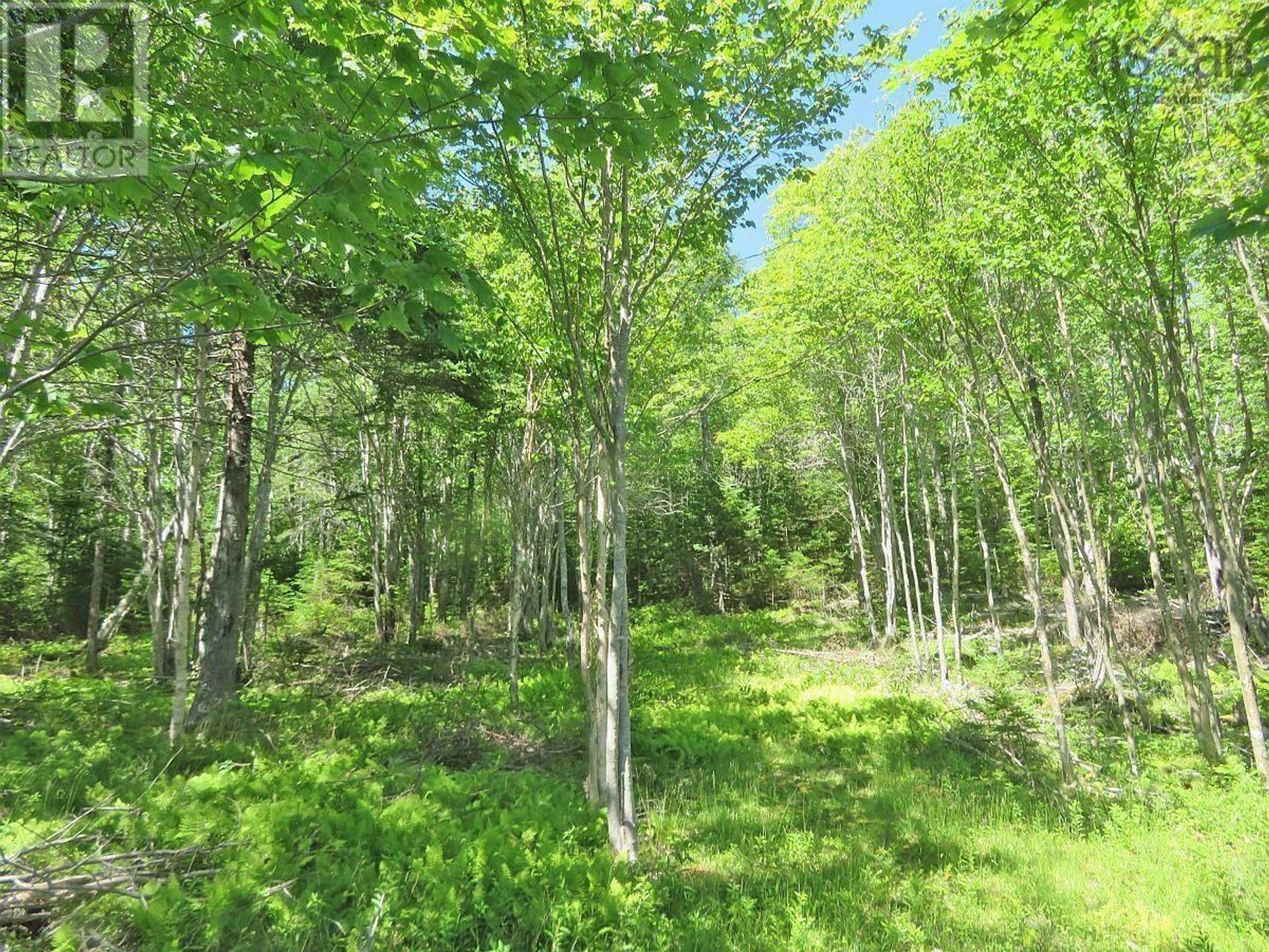 Земля в Marble Mountain, Nova Scotia 11181883