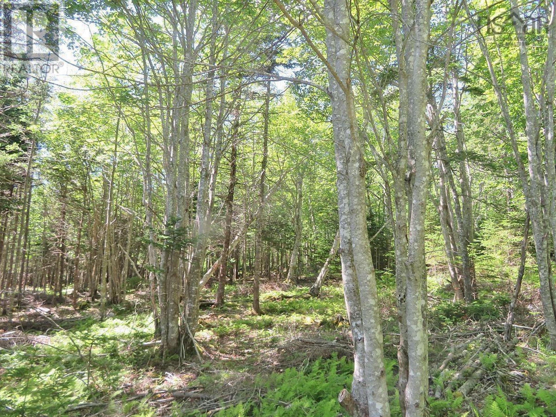 Земля в Marble Mountain, Nova Scotia 11181883