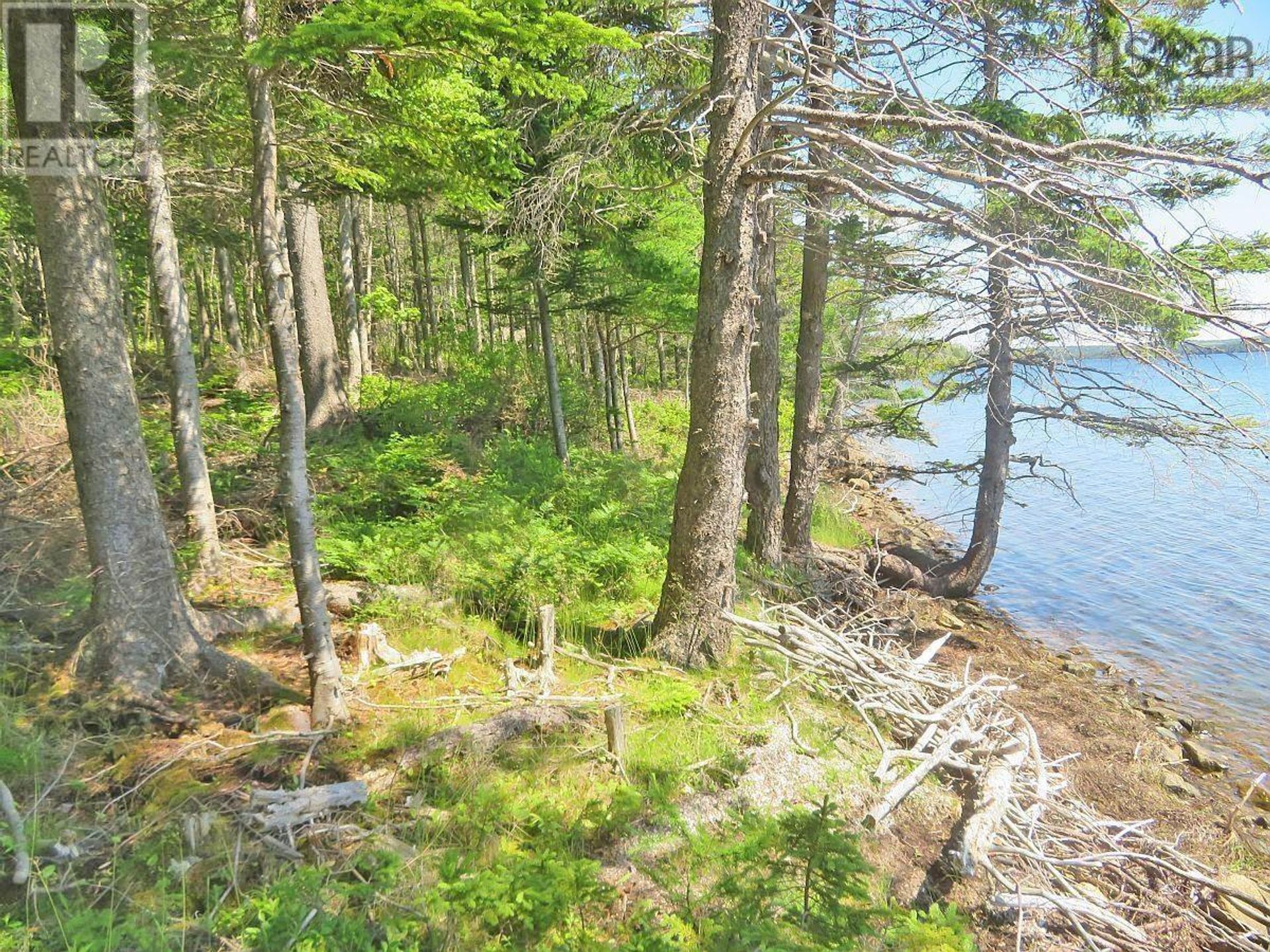 Земля в Marble Mountain, Nova Scotia 11181883