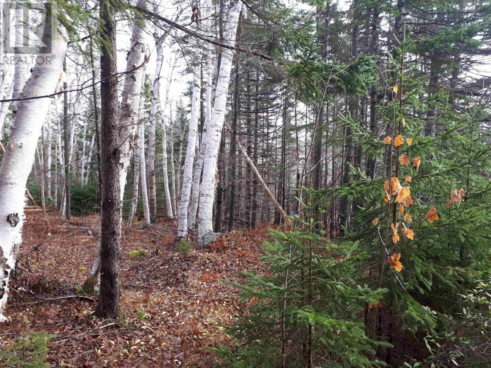 Tierra en Valley Mills, Nova Scotia 11181899