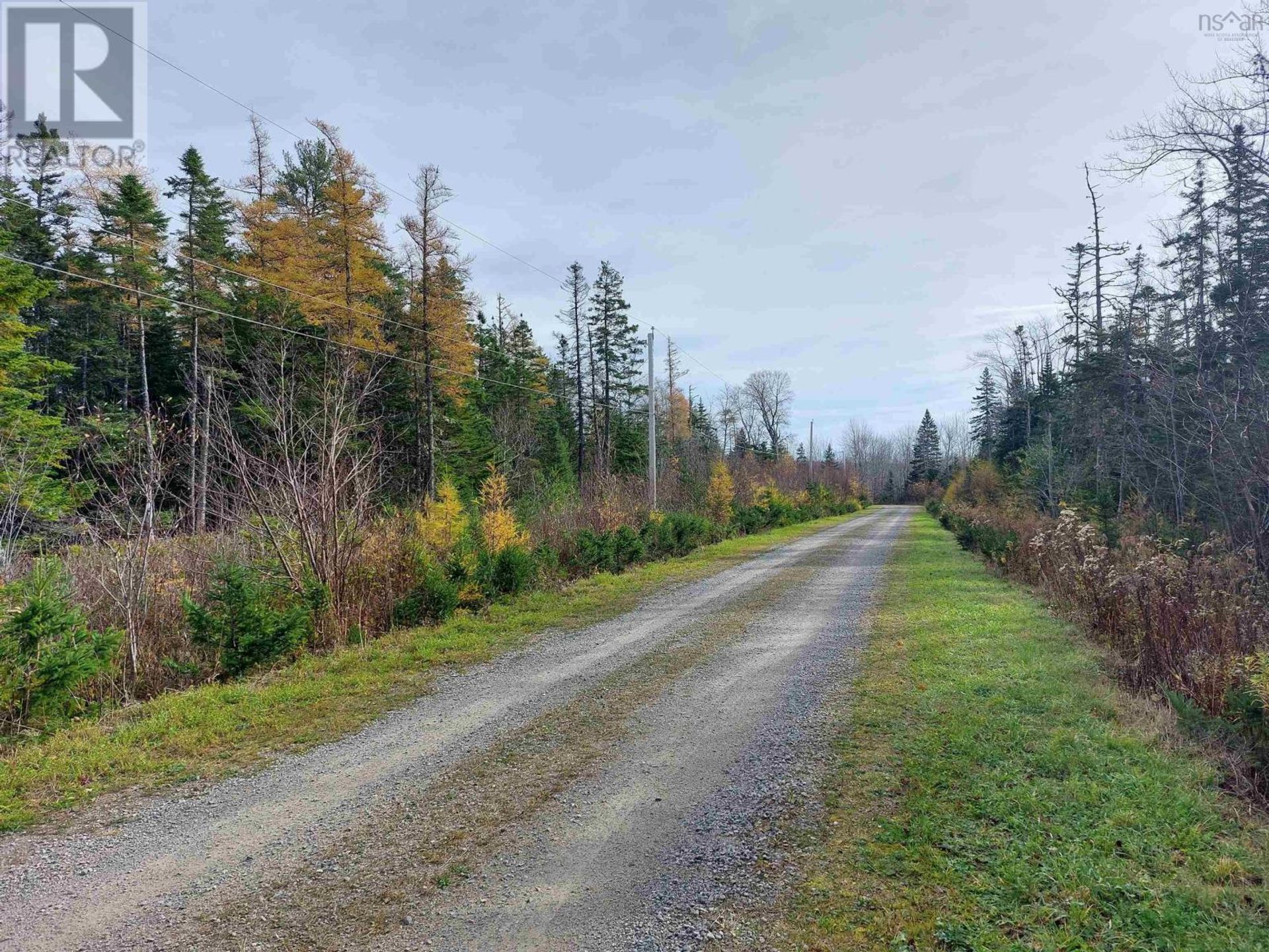 土地 在 Louisdale, Nova Scotia 11181902