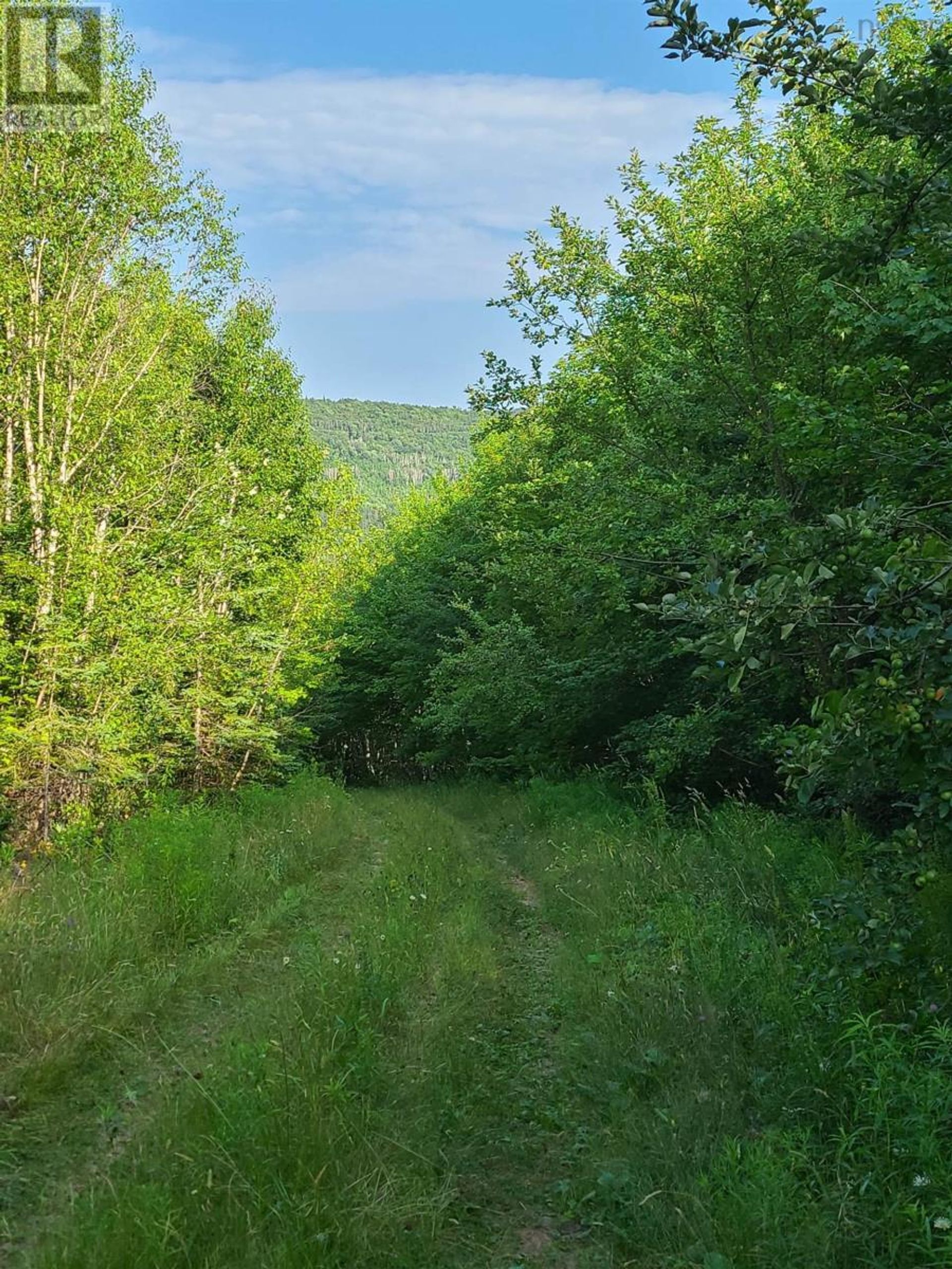 भूमि में Scotsville, Nova Scotia 11181931