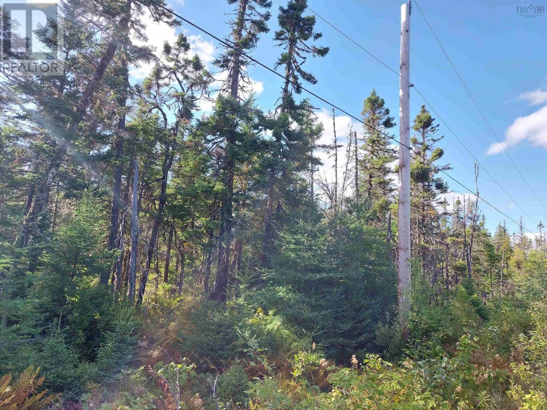 الأرض في Kempt Road, Nova Scotia 11181940