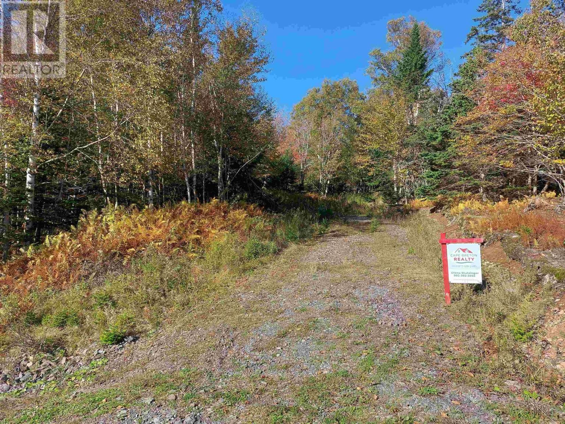 Land in Roberta, Nova Scotia 11181961