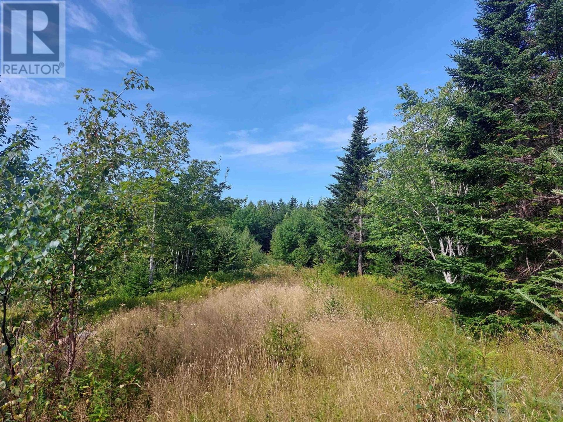 Land in French Cove, Nova Scotia 11181968