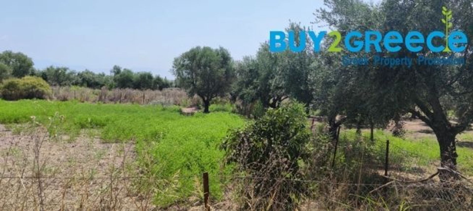 Land i Aris, Peloponnisos 11182332