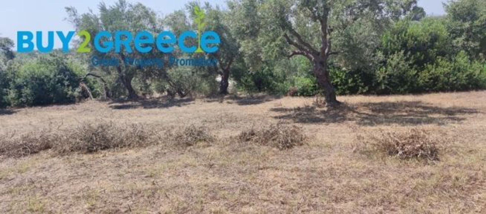 Land i Aris, Peloponnisos 11182816