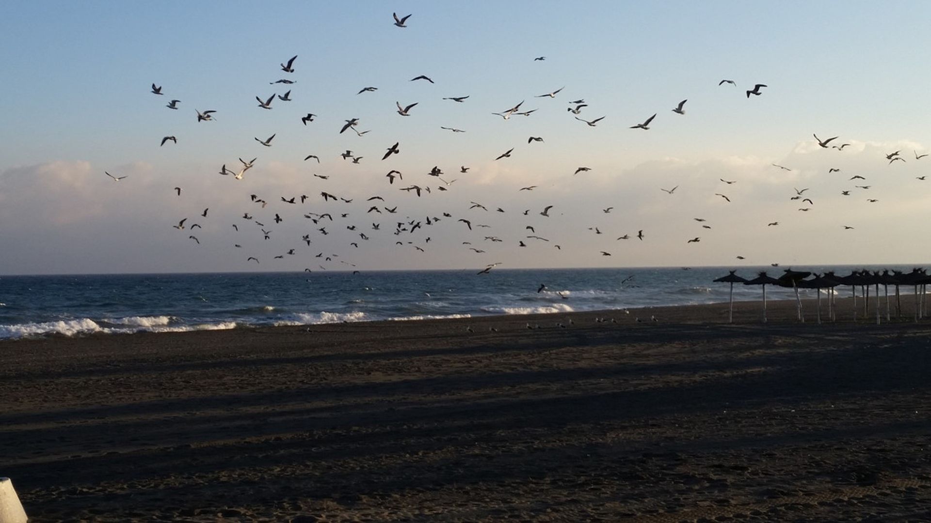 Land im Espinosa de los Monteros, Kastilien-León 11184823