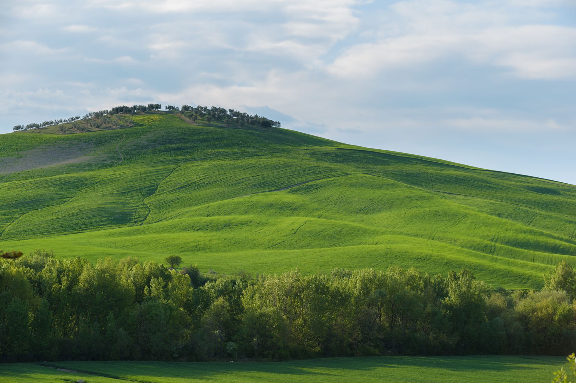 집 에 Pienza, Tuscany 11185168