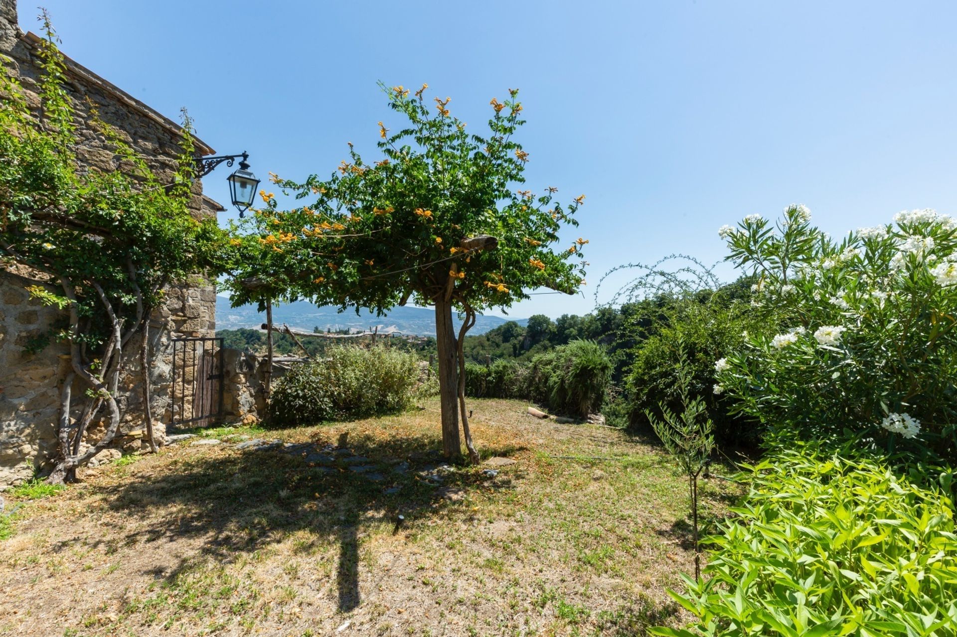 Borettslag i Orvieto, Umbria 11185205