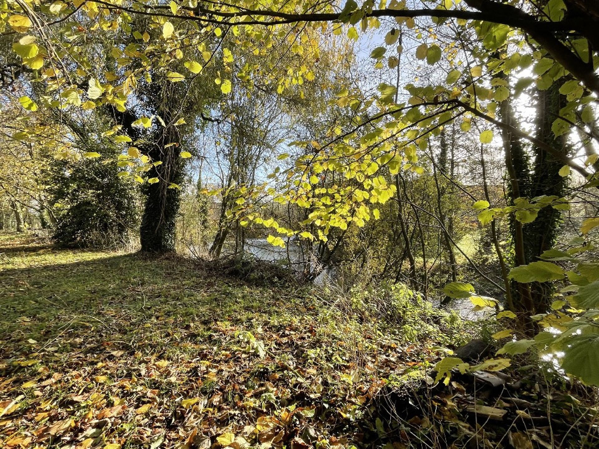 Borettslag i Fresnoy, Hauts-de-France 11185238