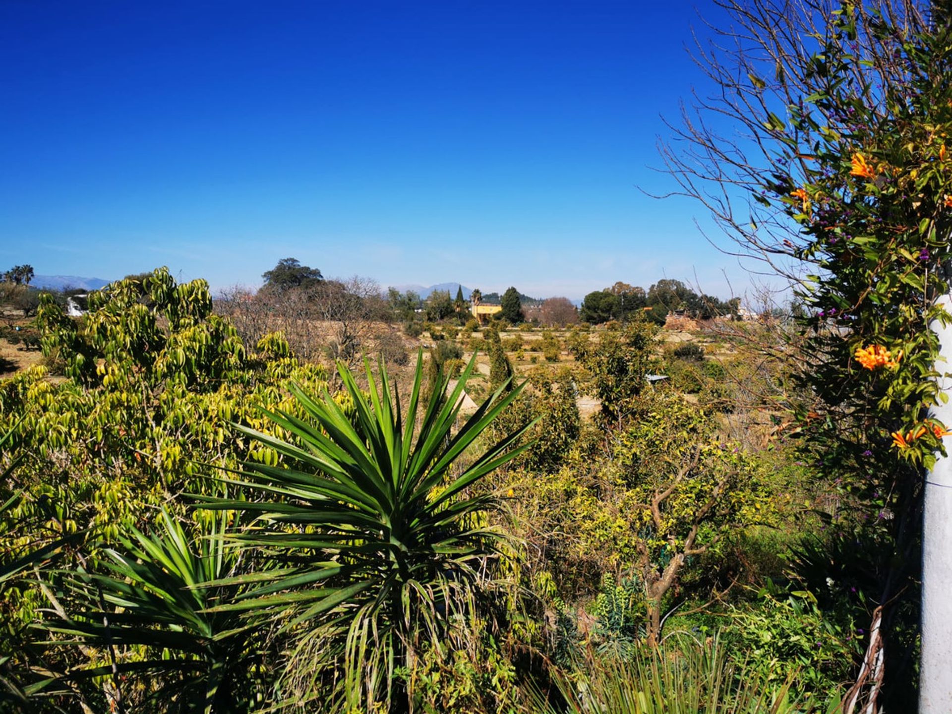 Talo sisään Alhaurín el Grande, Andalusia 11185325