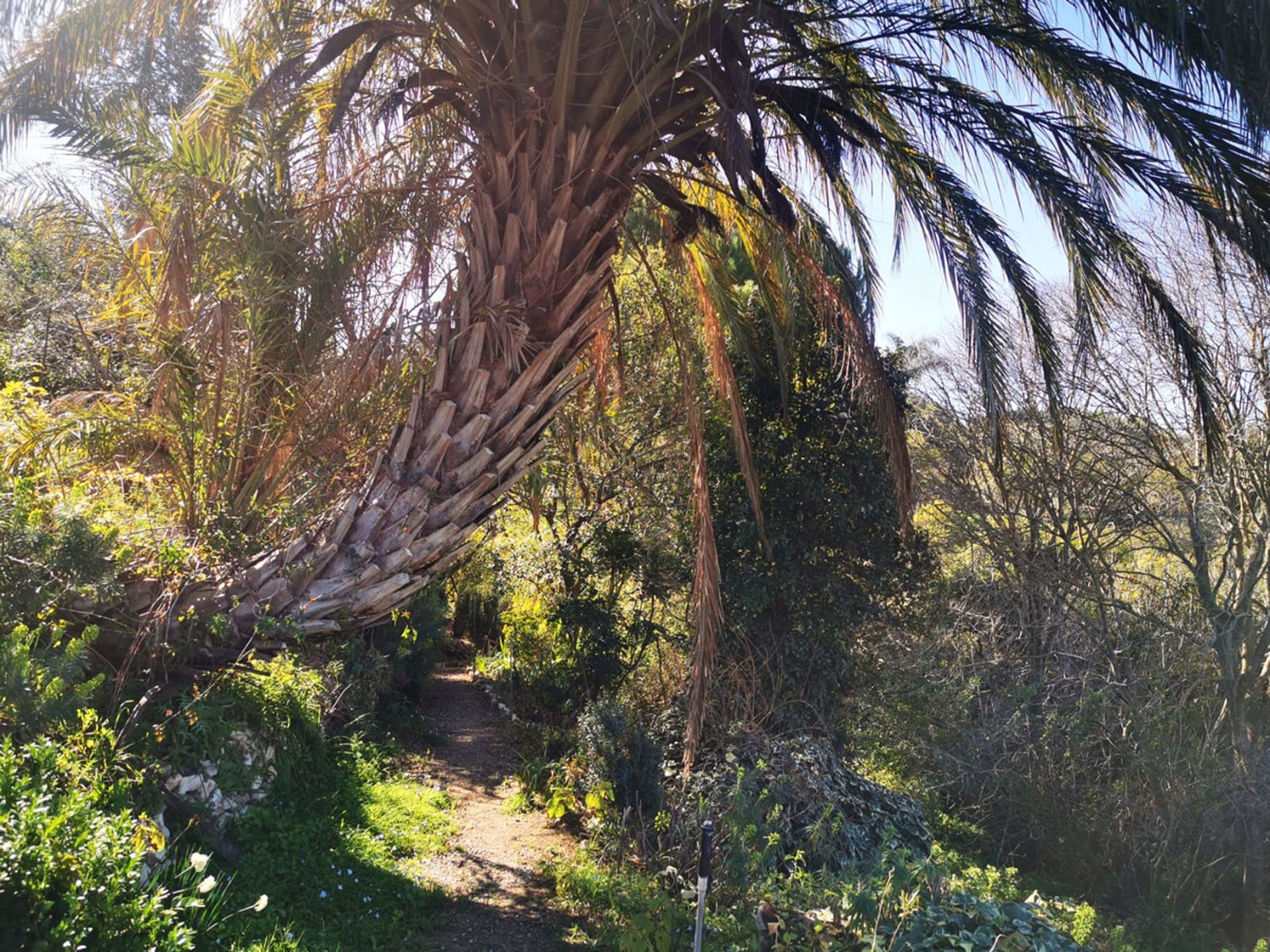 Talo sisään Alhaurín el Grande, Andalusia 11185325