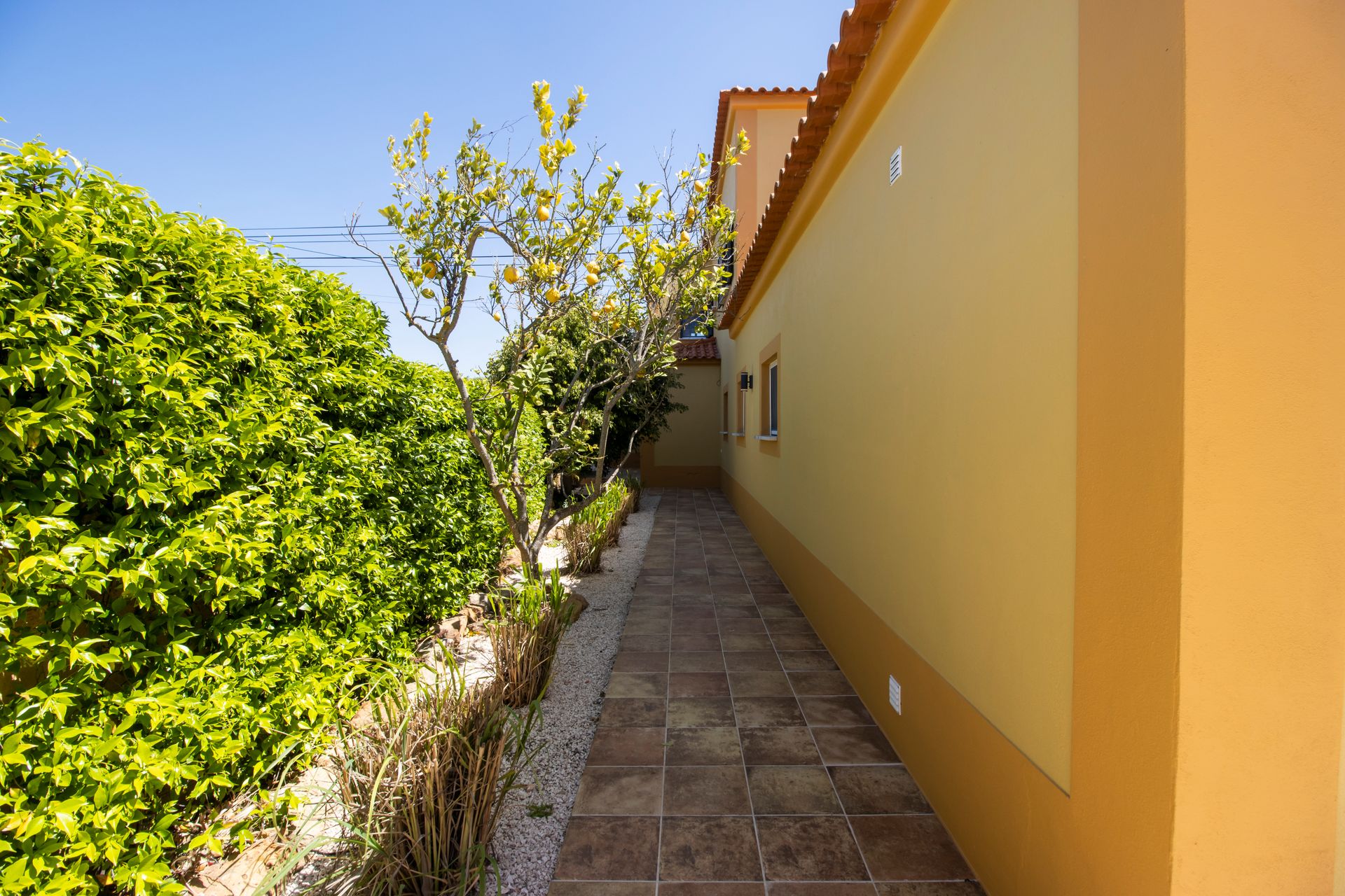 Hus i Lagos, Faro 11185669