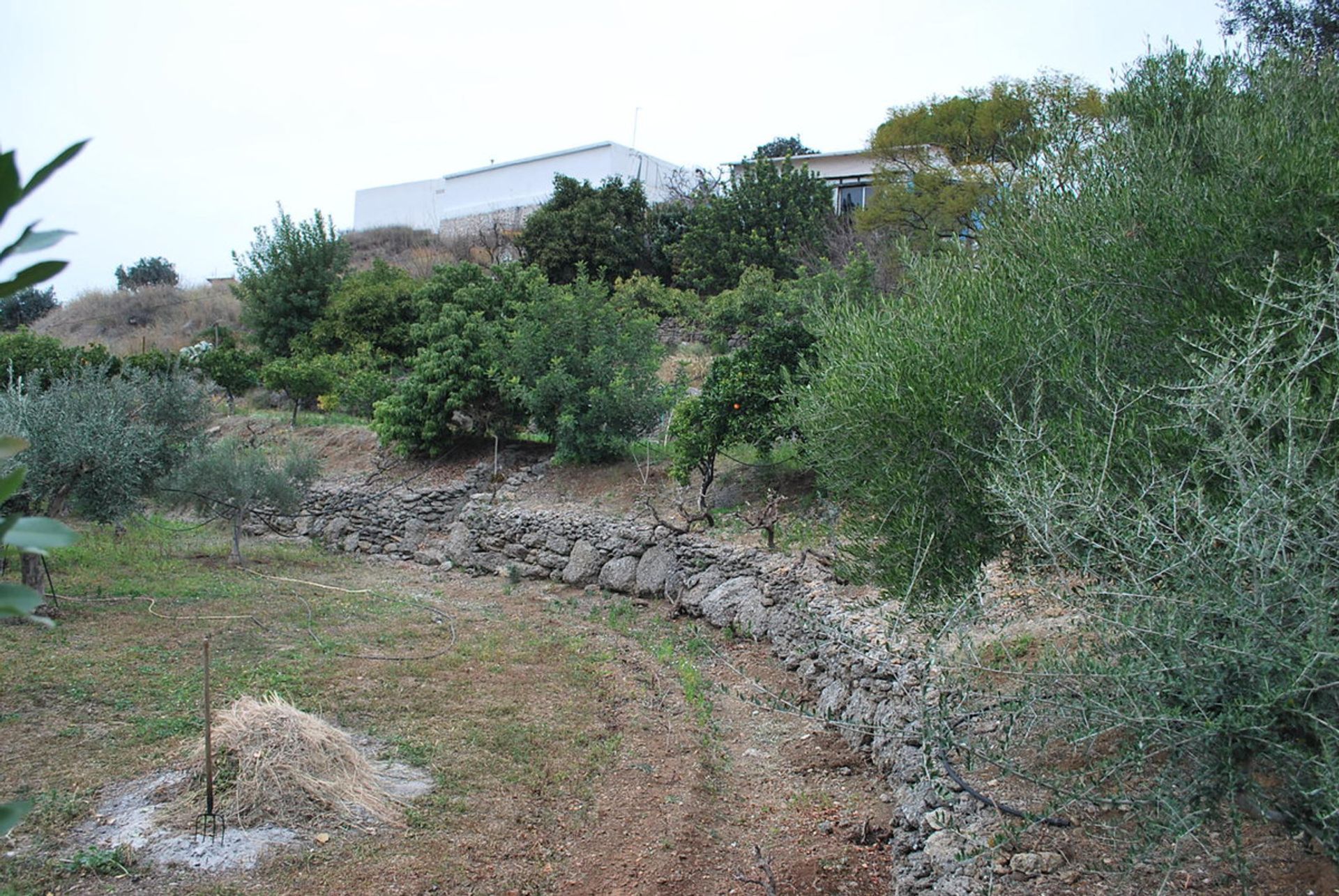 casa en Alhaurín de la Torre, Andalusia 11185702