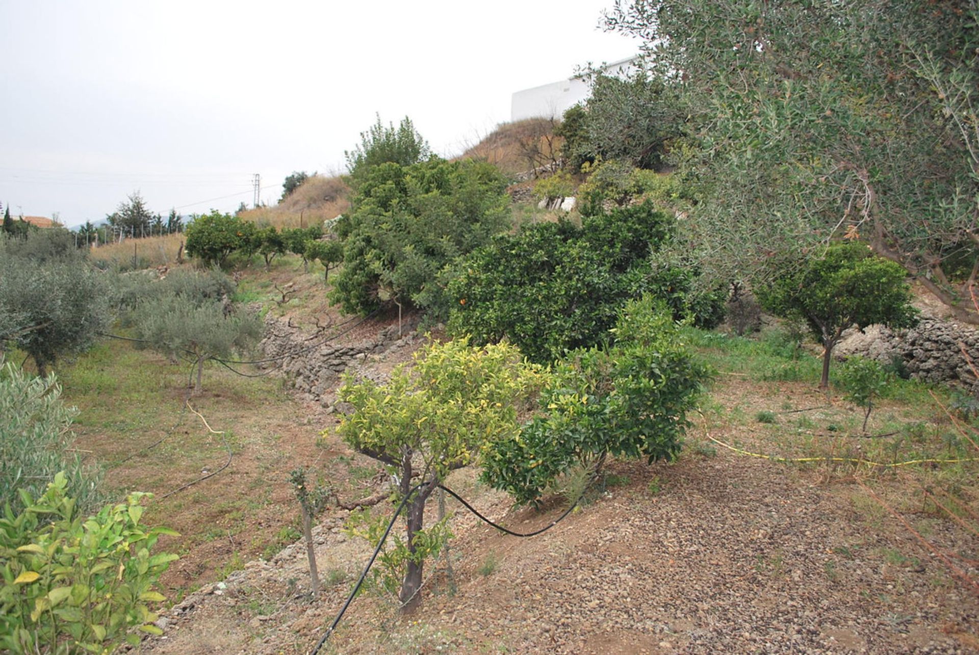 casa en Alhaurín de la Torre, Andalusia 11185702