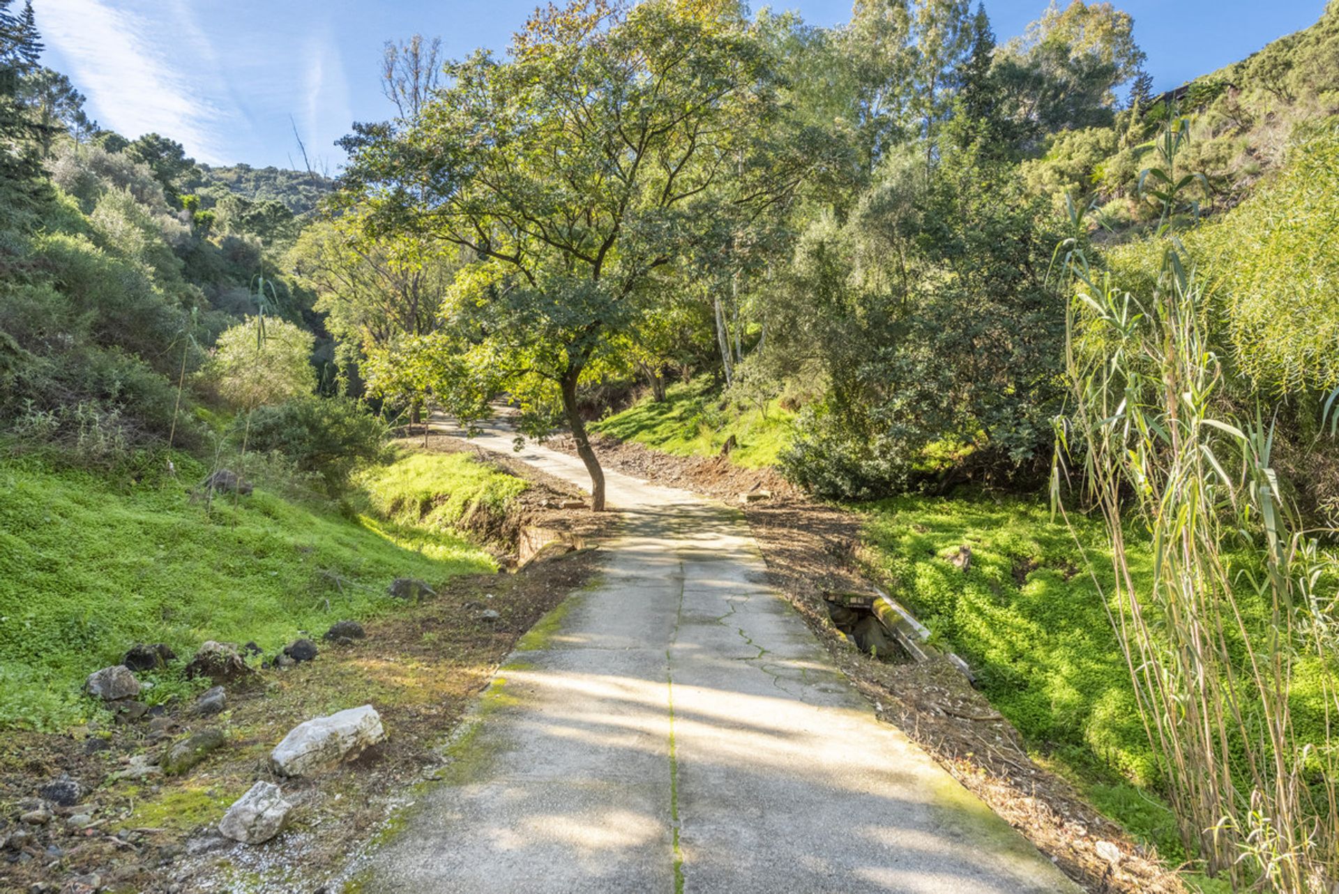 بيت في Benahavís, Andalusia 11185741