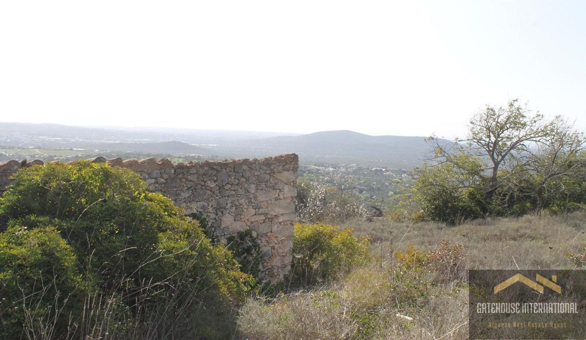 Land i Loulé, Faro 11186166